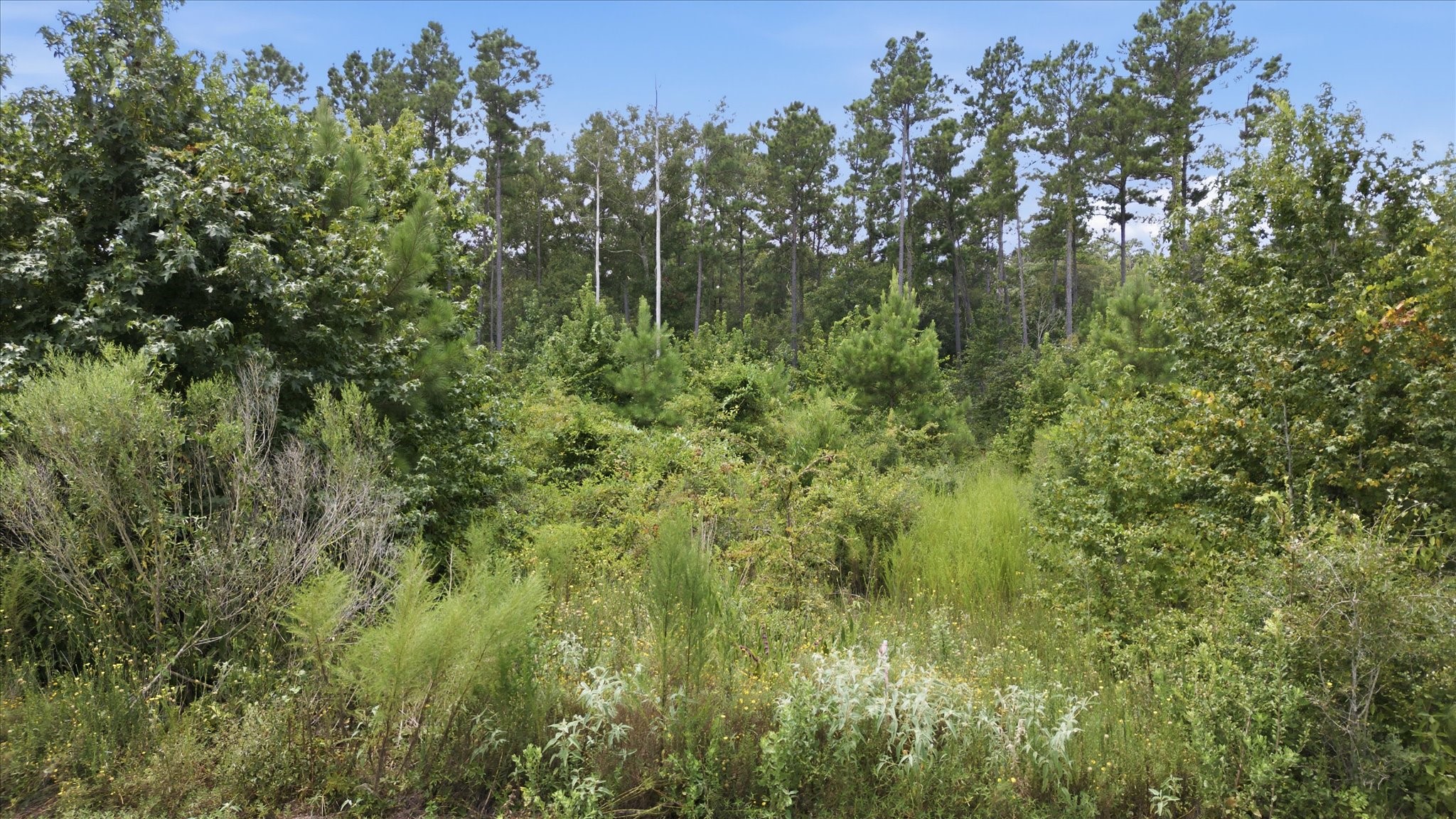 15977 Ridge Oak Road Property Photo 22