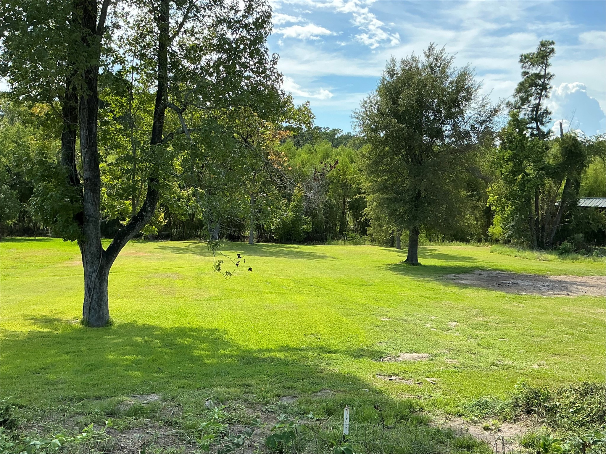 TBD Yaupon Cove Dr Property Photo 1