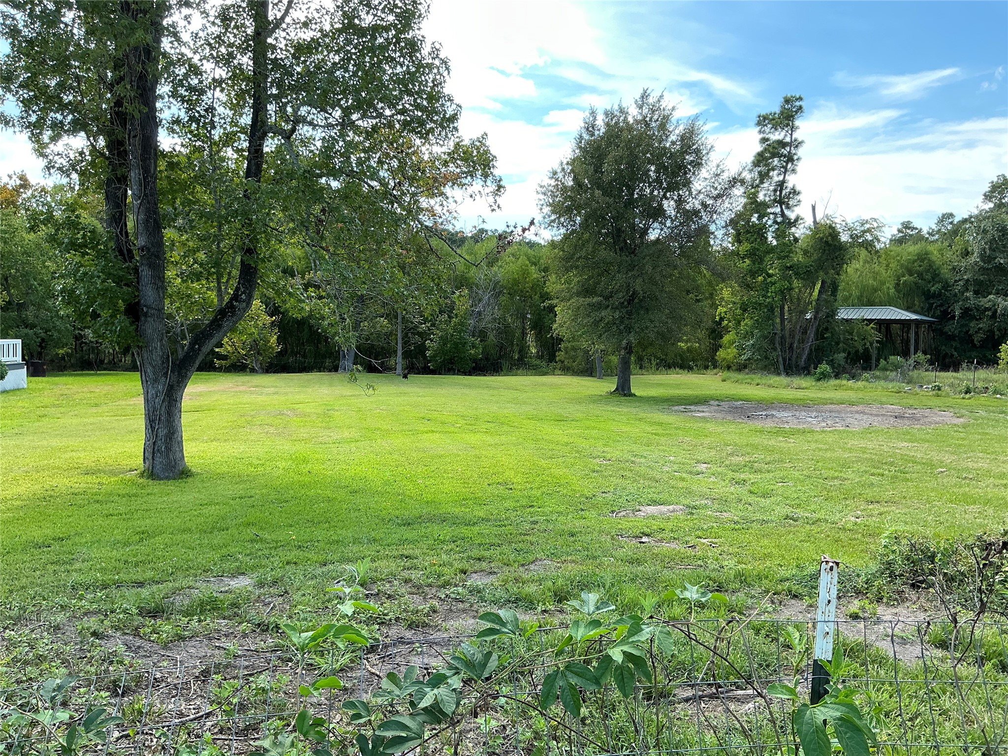 Tbd Yaupon Cove Dr Property Photo 4