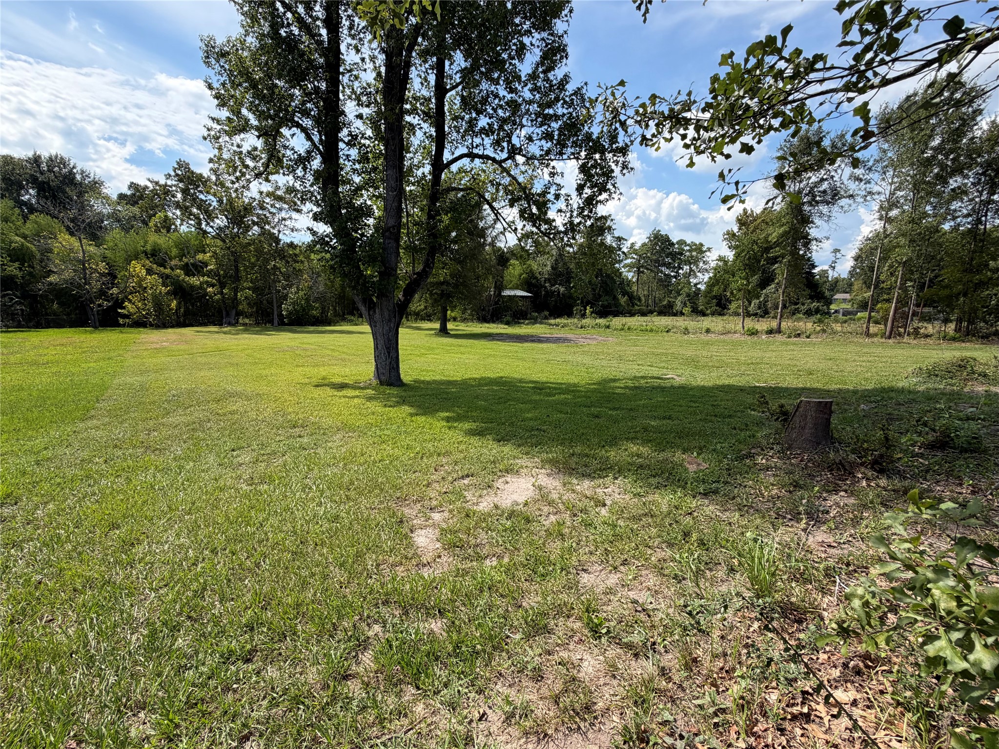 Tbd Yaupon Cove Dr Property Photo 5