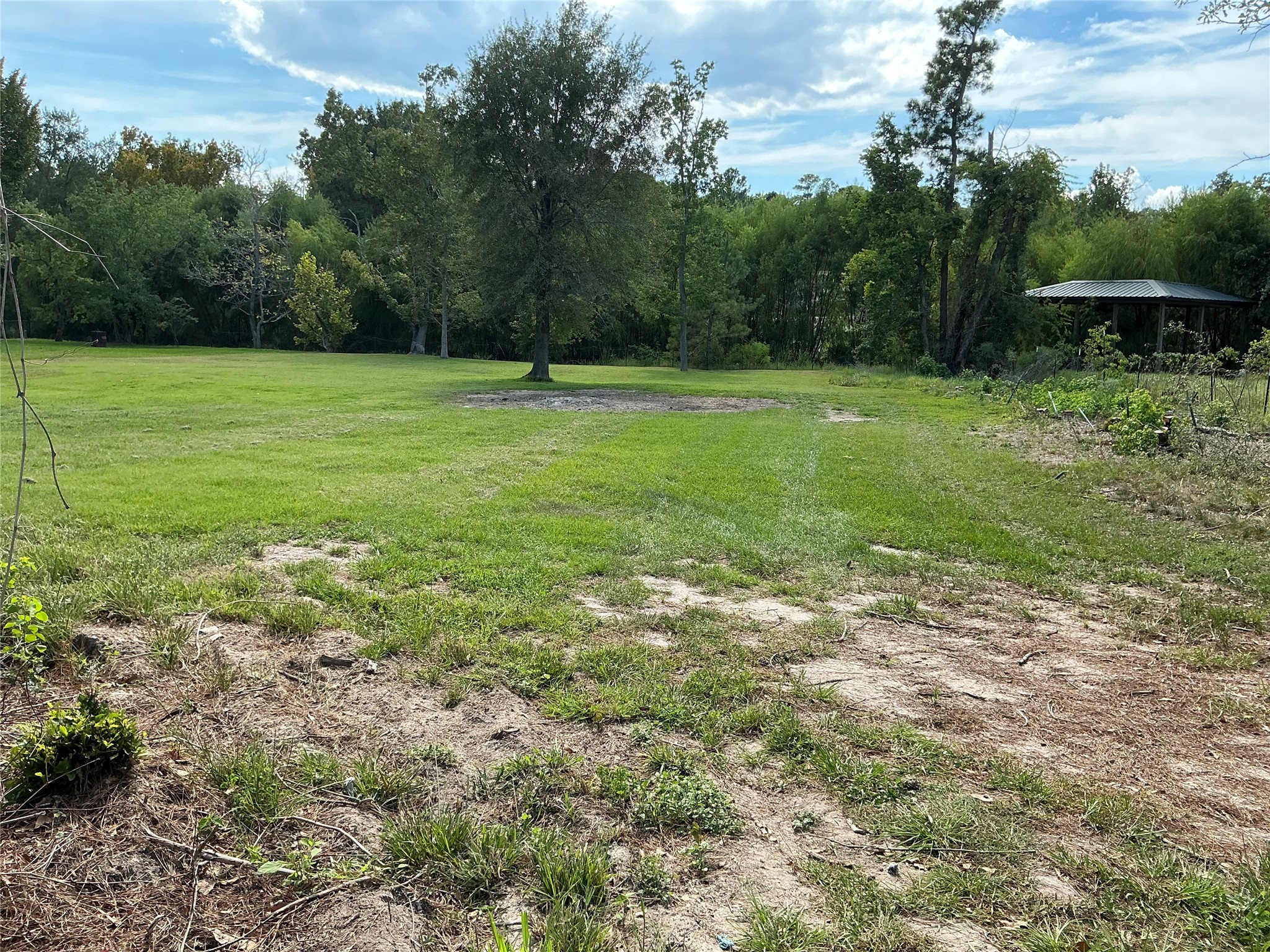 Tbd Yaupon Cove Dr Property Photo 9