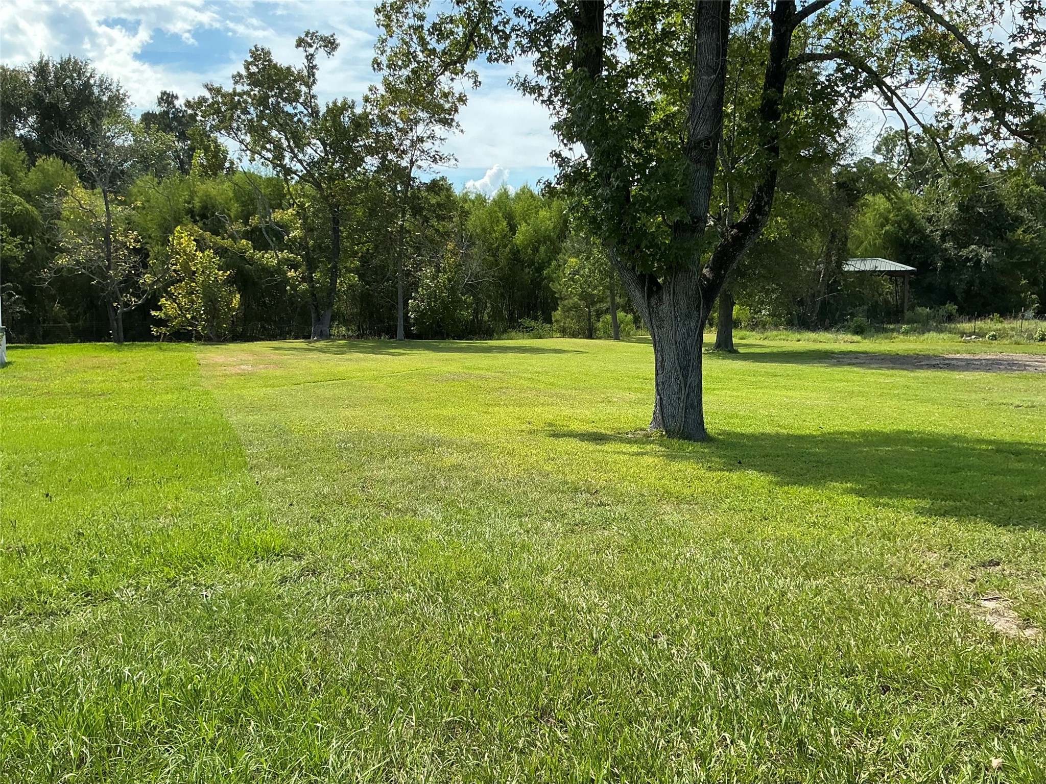 Tbd Yaupon Cove Dr Property Photo 11
