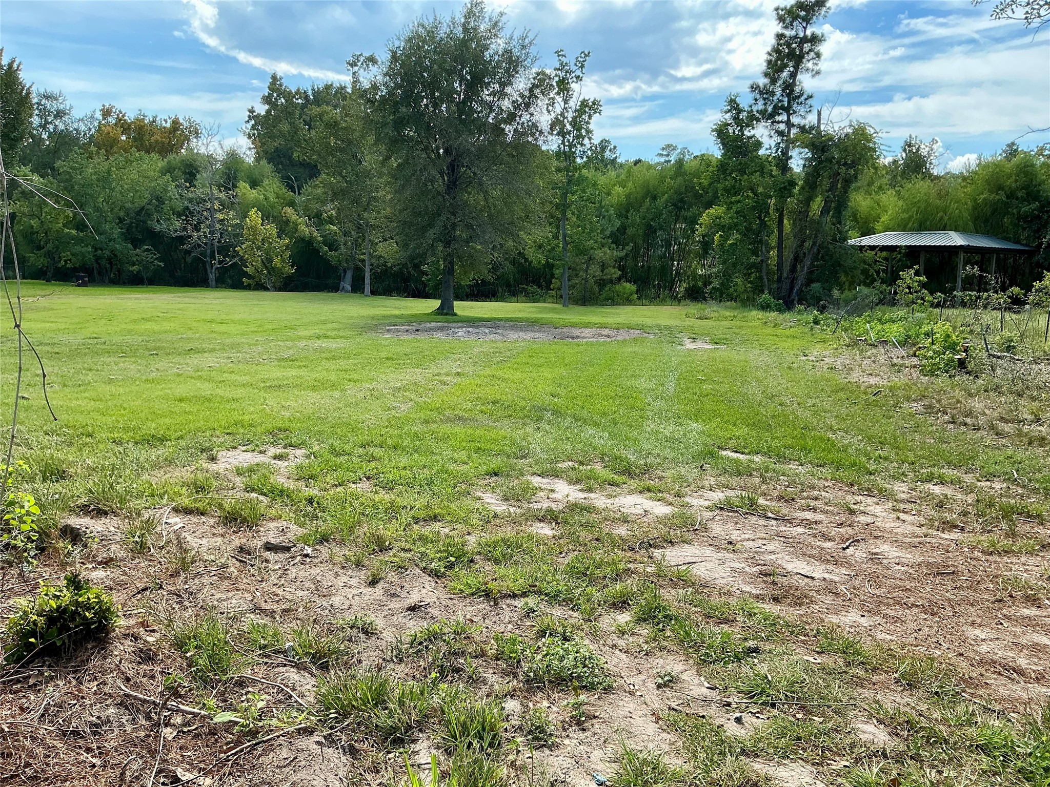 Tbd Yaupon Cove Dr Property Photo 13