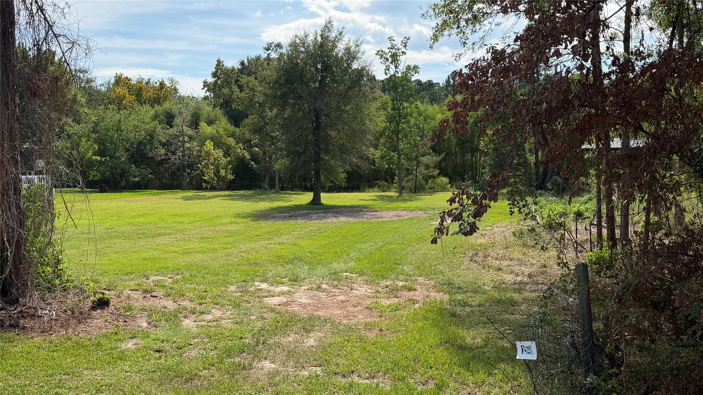 Tbd Yaupon Cove Dr Property Photo 14