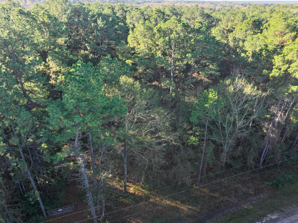 156 Lessa Lane Property Photo 3