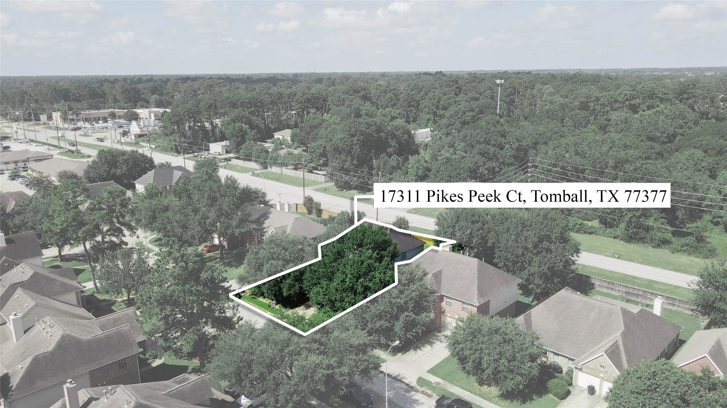 17311 Pikes Peek Court Property Photo 2