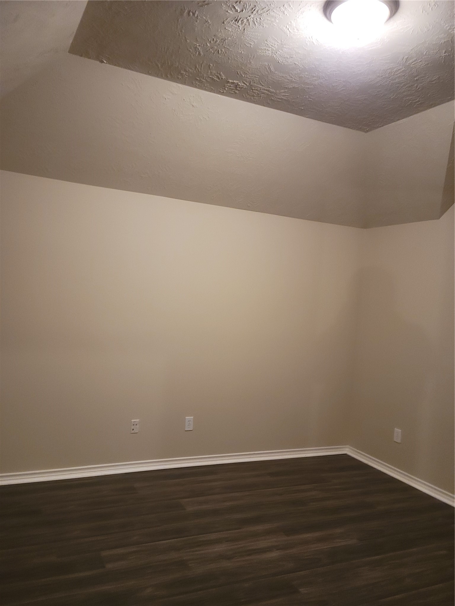 11134 Sheldon Bend Drive Property Photo 20