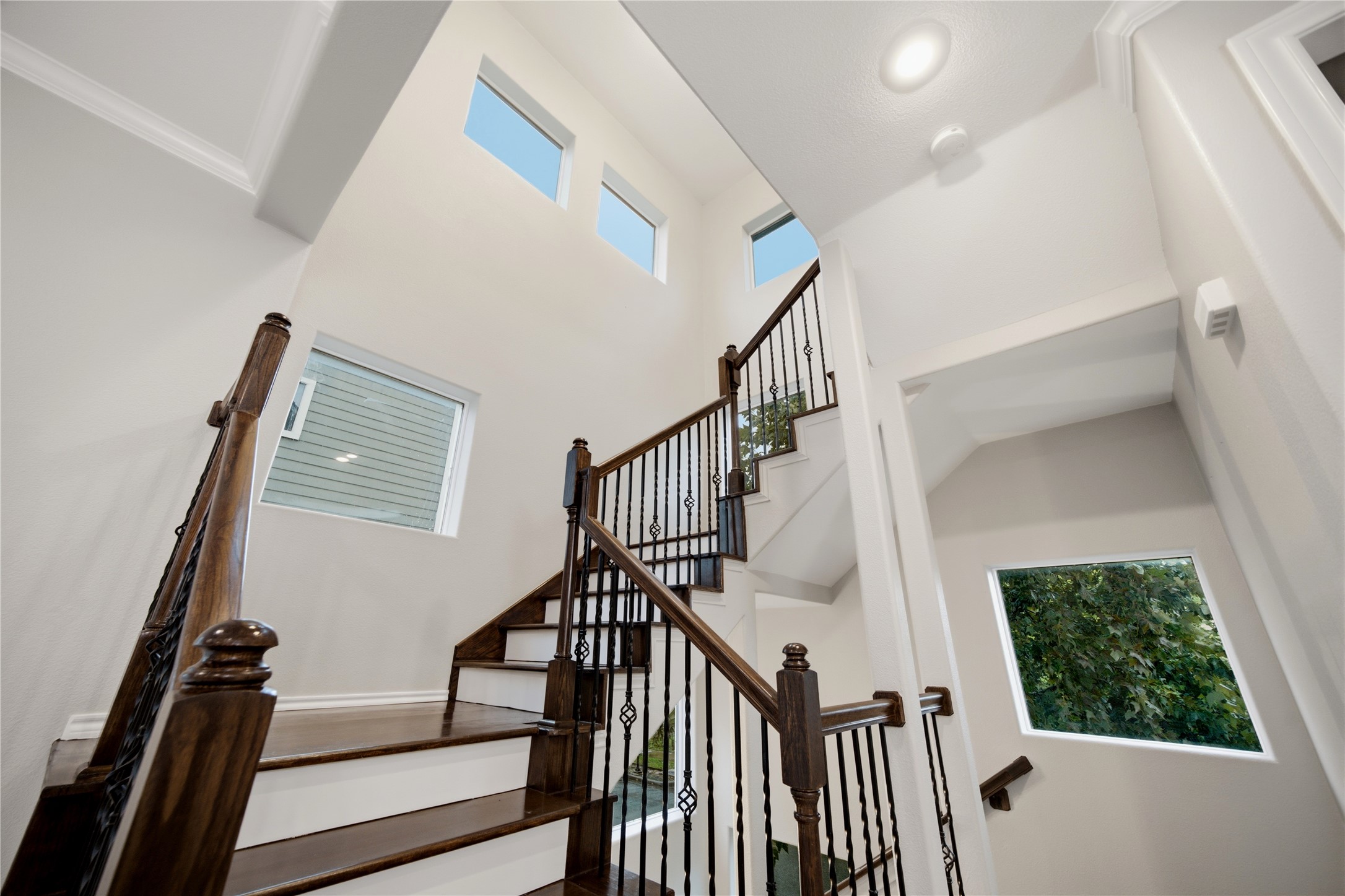 1610 Holman Street Property Photo 5