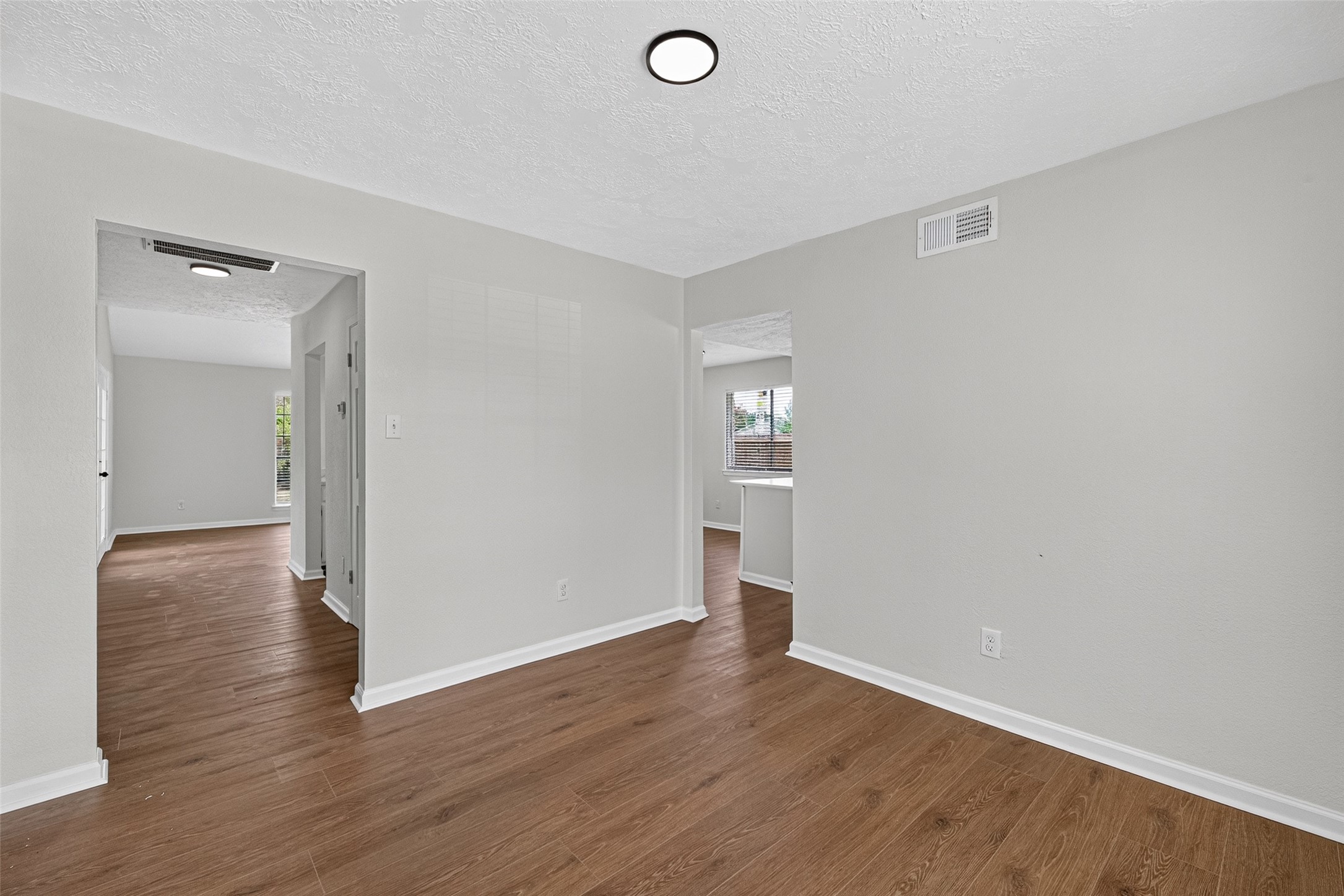10102 Old Towne Lane Property Photo 12