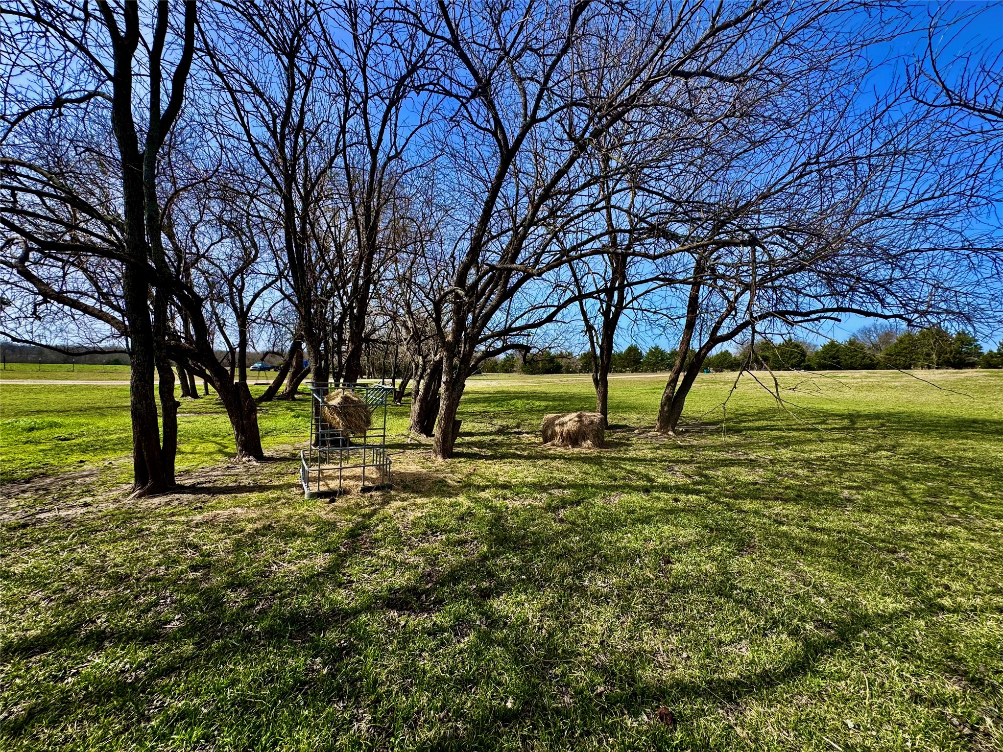 4081 Fm 2736 Property Photo 8