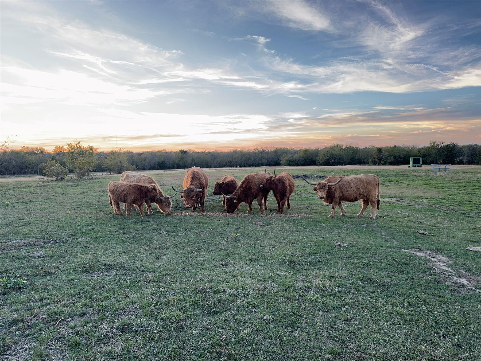 4081 Fm 2736 Property Photo 42