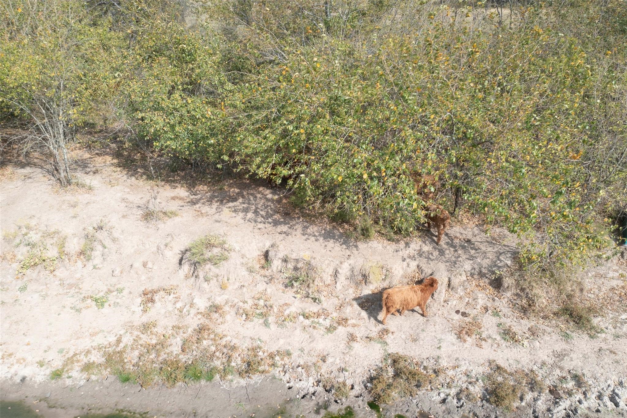 4081 Fm 2736 Property Photo 44