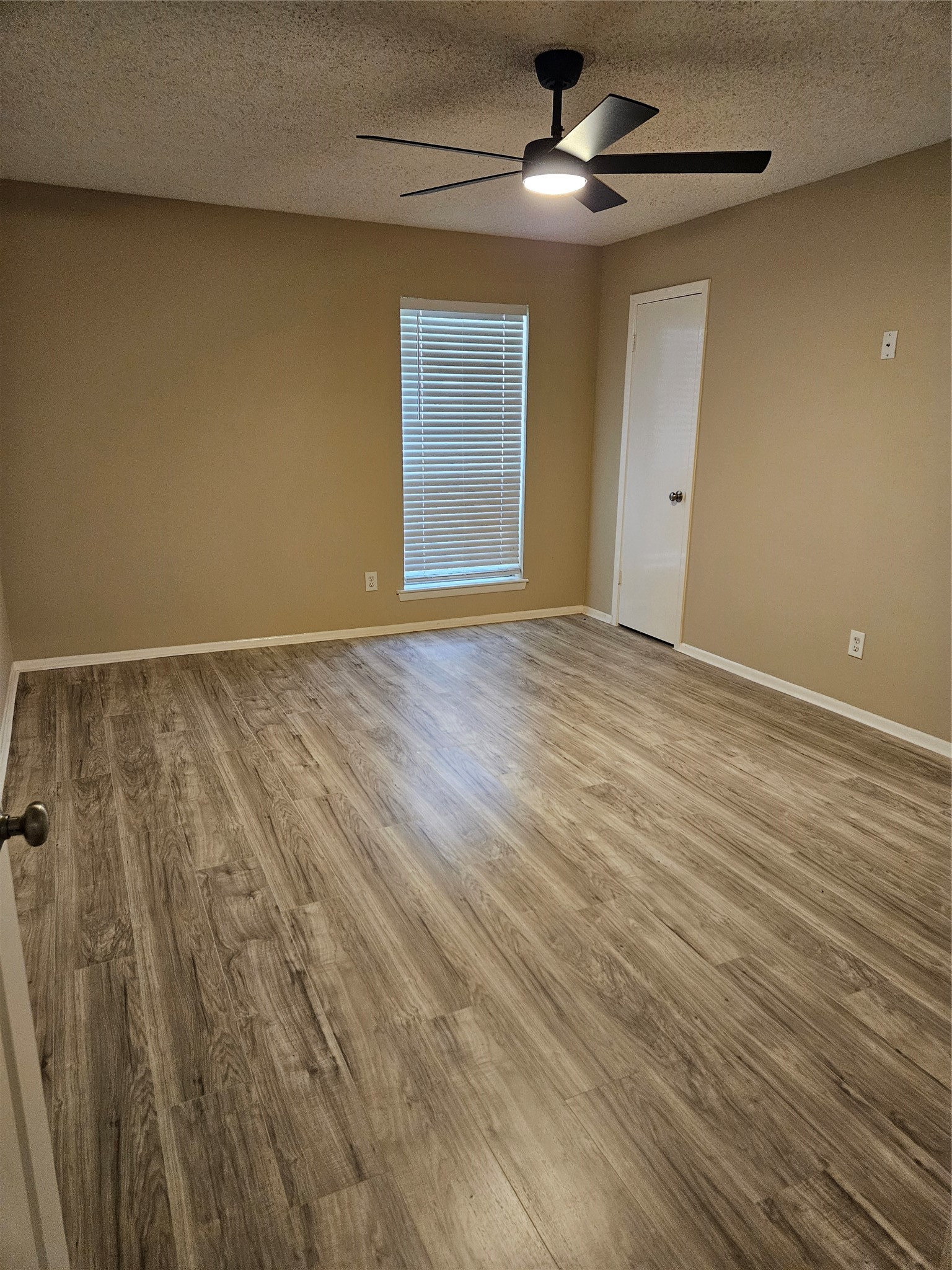 1402 New Orleans Street Property Photo 21