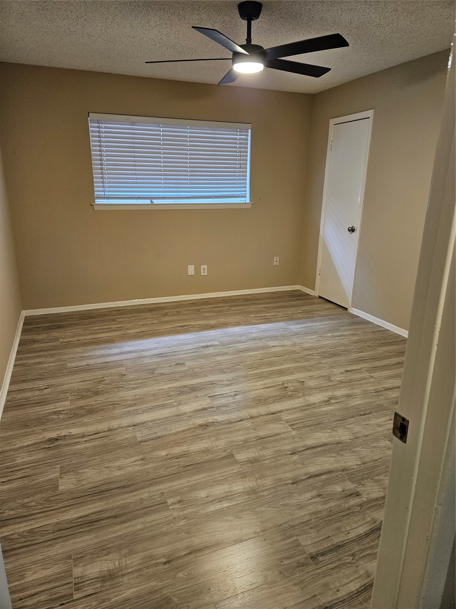 1402 New Orleans Street Property Photo 22