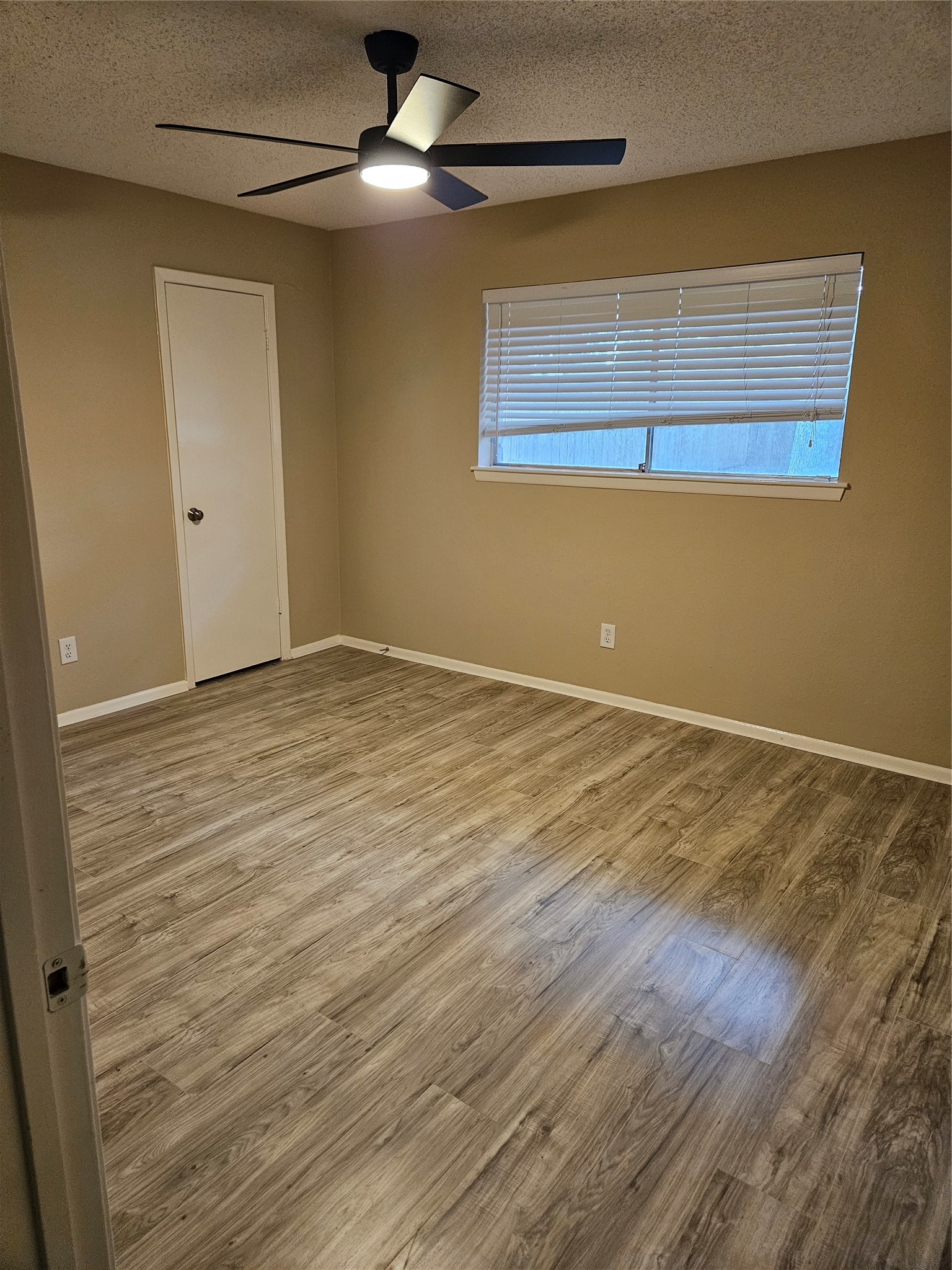 1402 New Orleans Street Property Photo 30