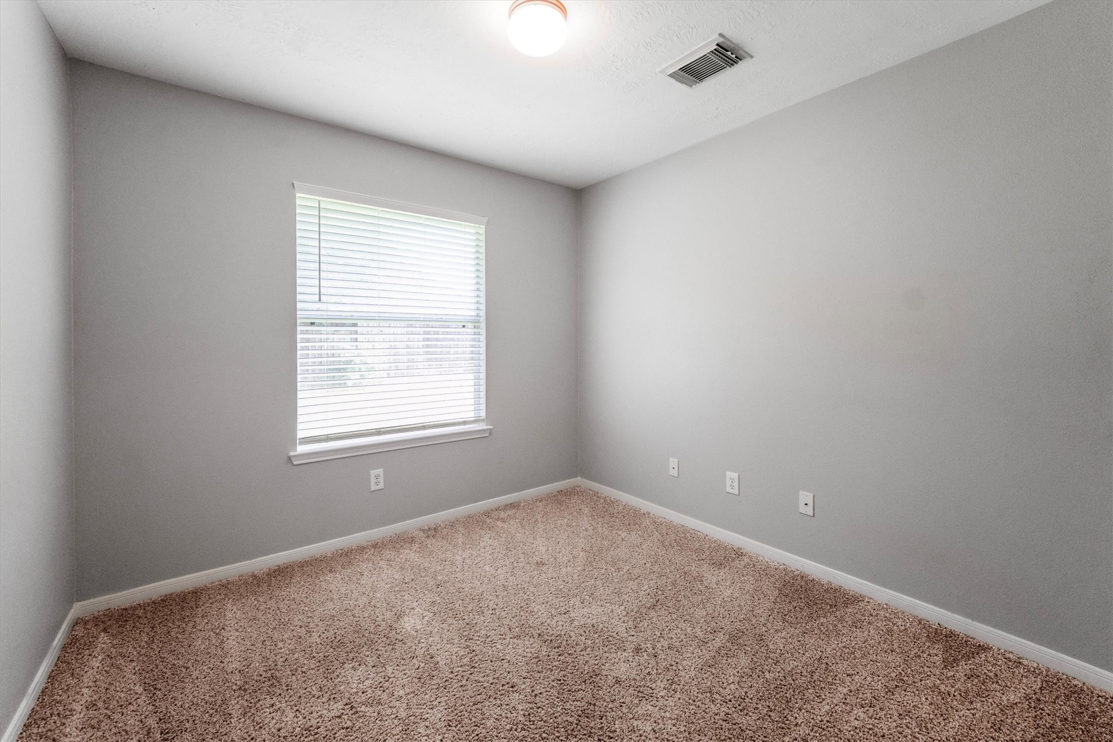 18110 Bare Branch Lane Property Photo 33