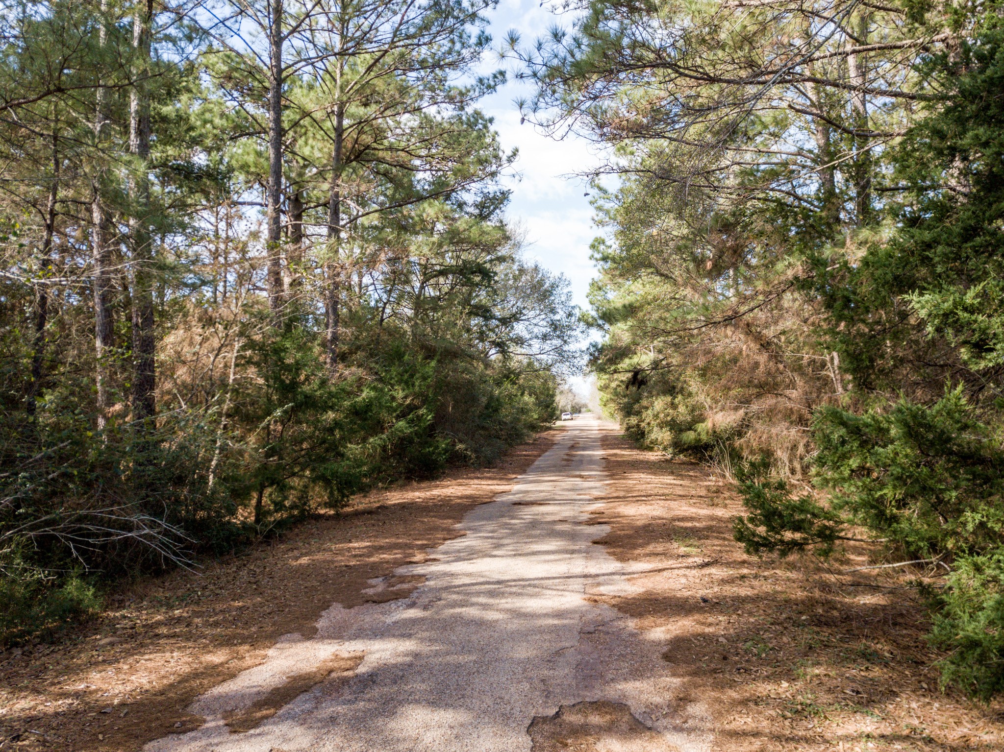 38044 Quail Drive Property Photo 13