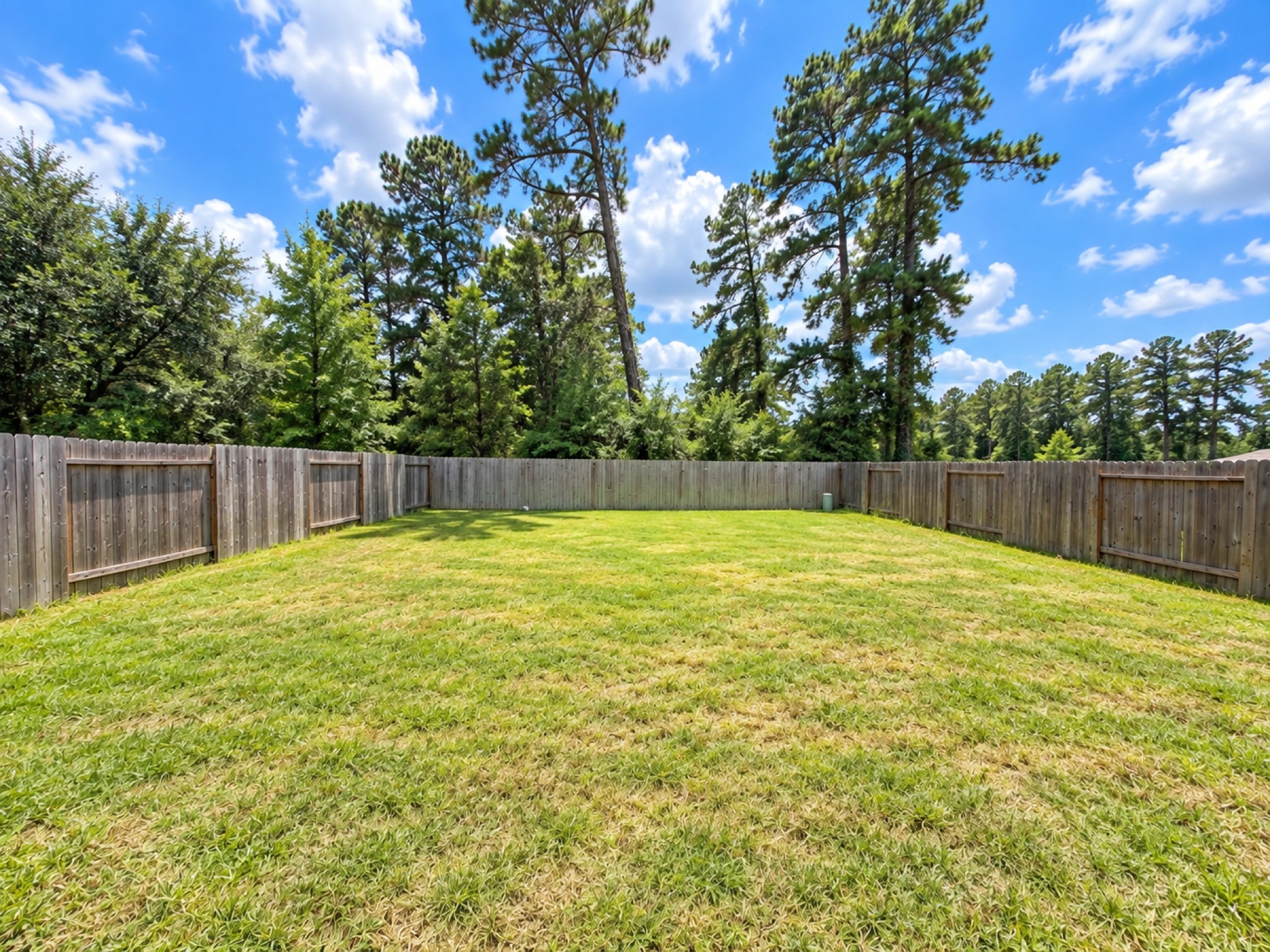 6406 Leaning Cypress Trail Property Photo 21