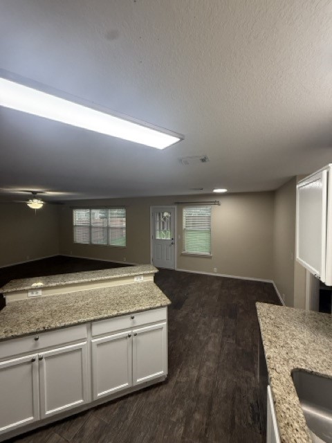 14927 Sugar Crystal Court Property Photo 10