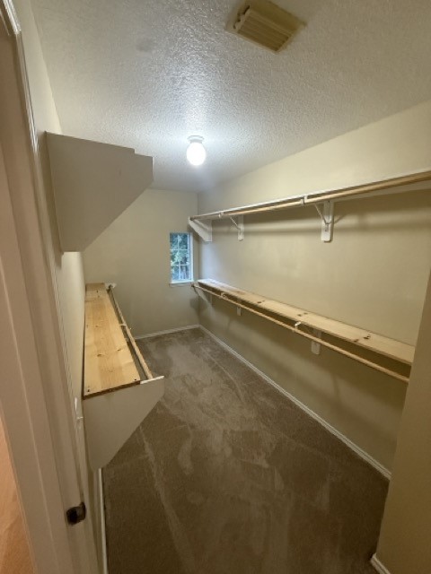 14927 Sugar Crystal Court Property Photo 19