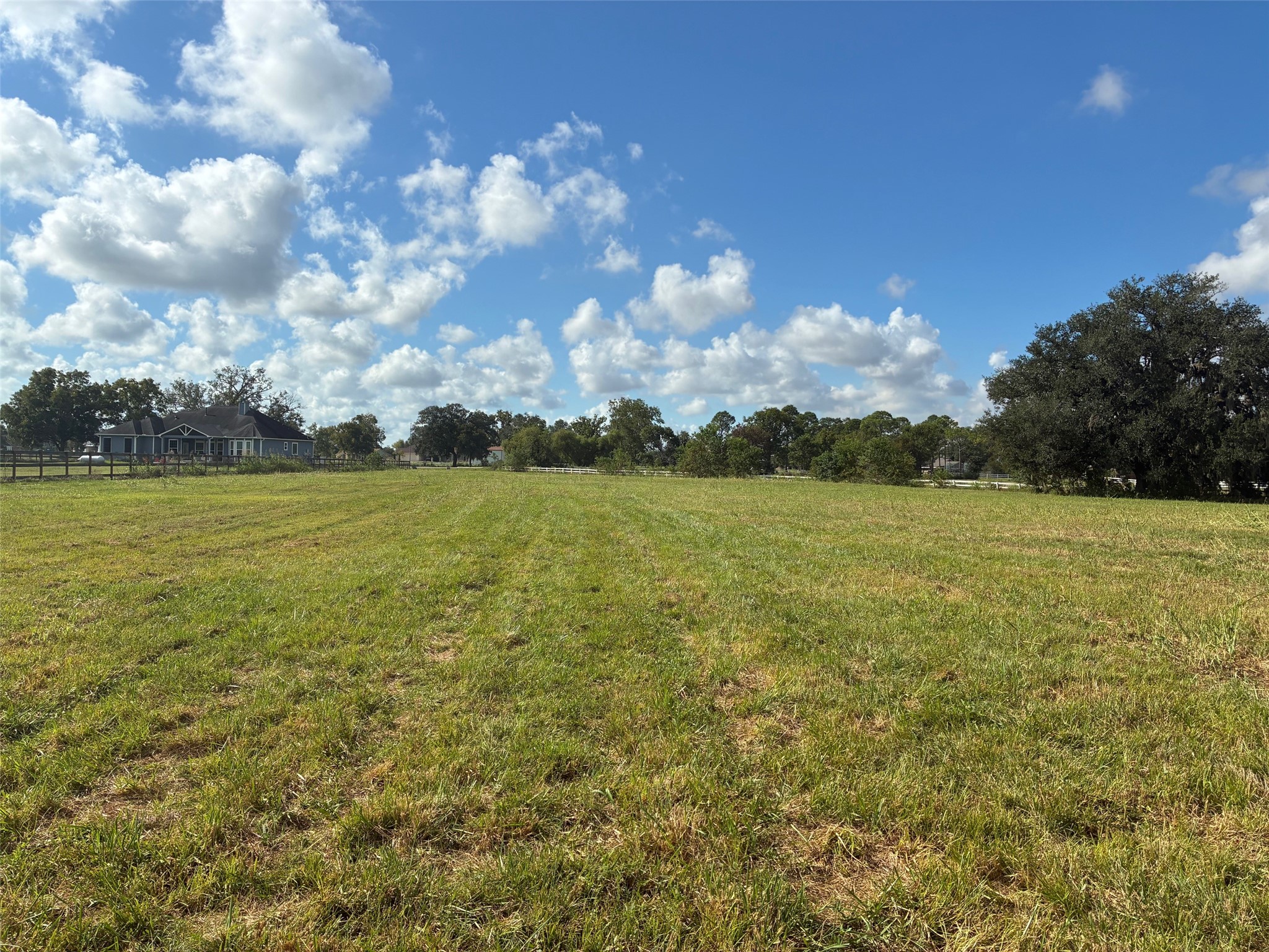2934 Horse Trail Drive Property Photo 4