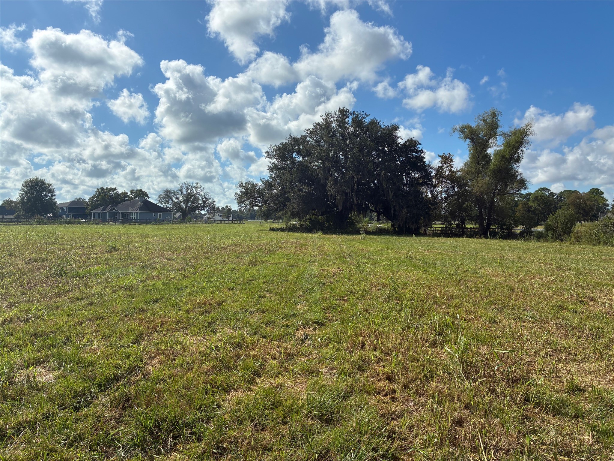 2934 Horse Trail Drive Property Photo 5