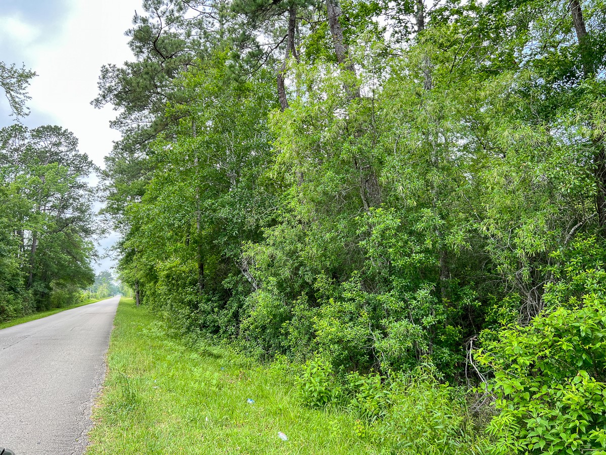 00000 Cravens Camp Road Property Photo 3