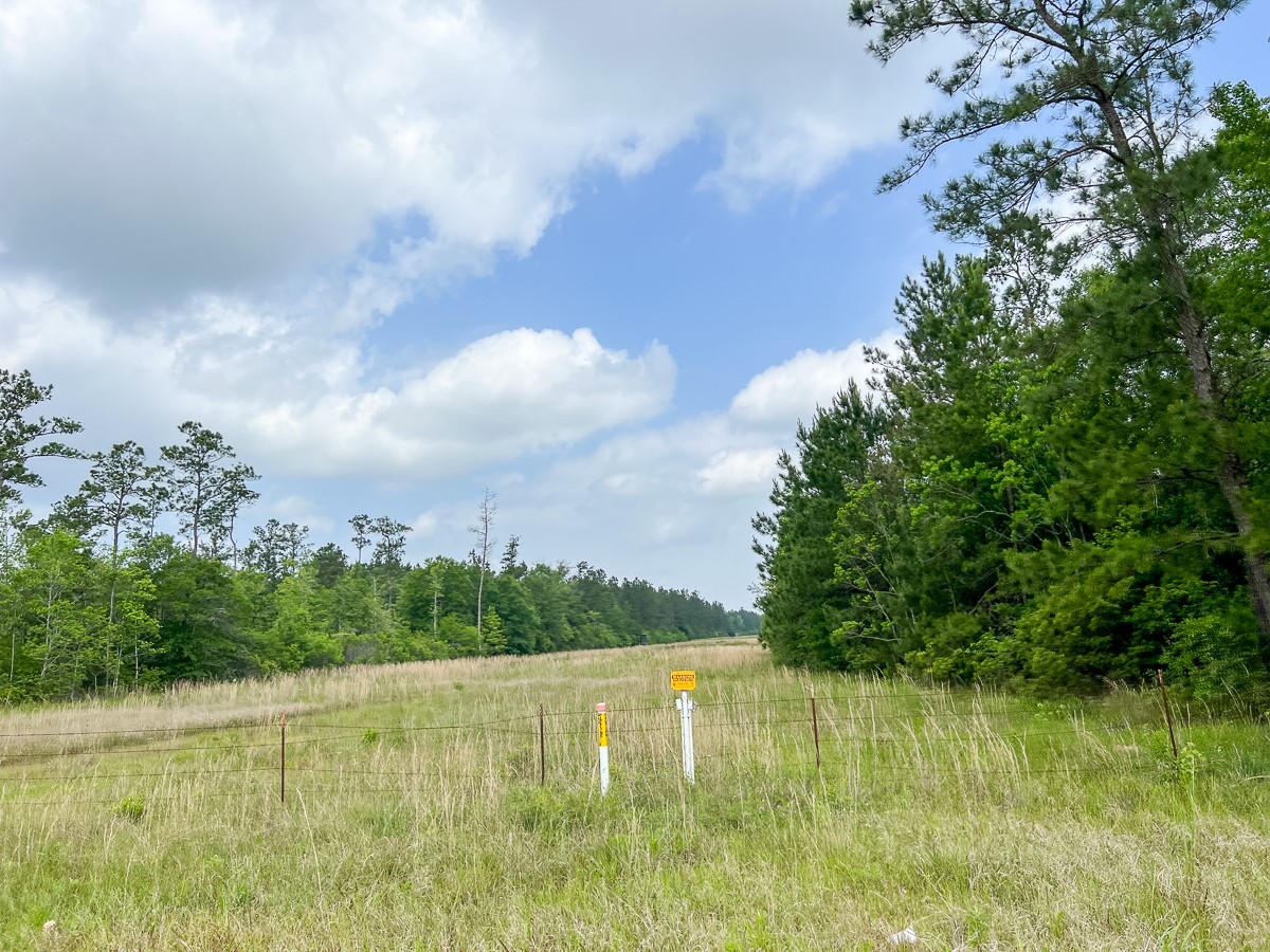00000 Cravens Camp Road Property Photo 4