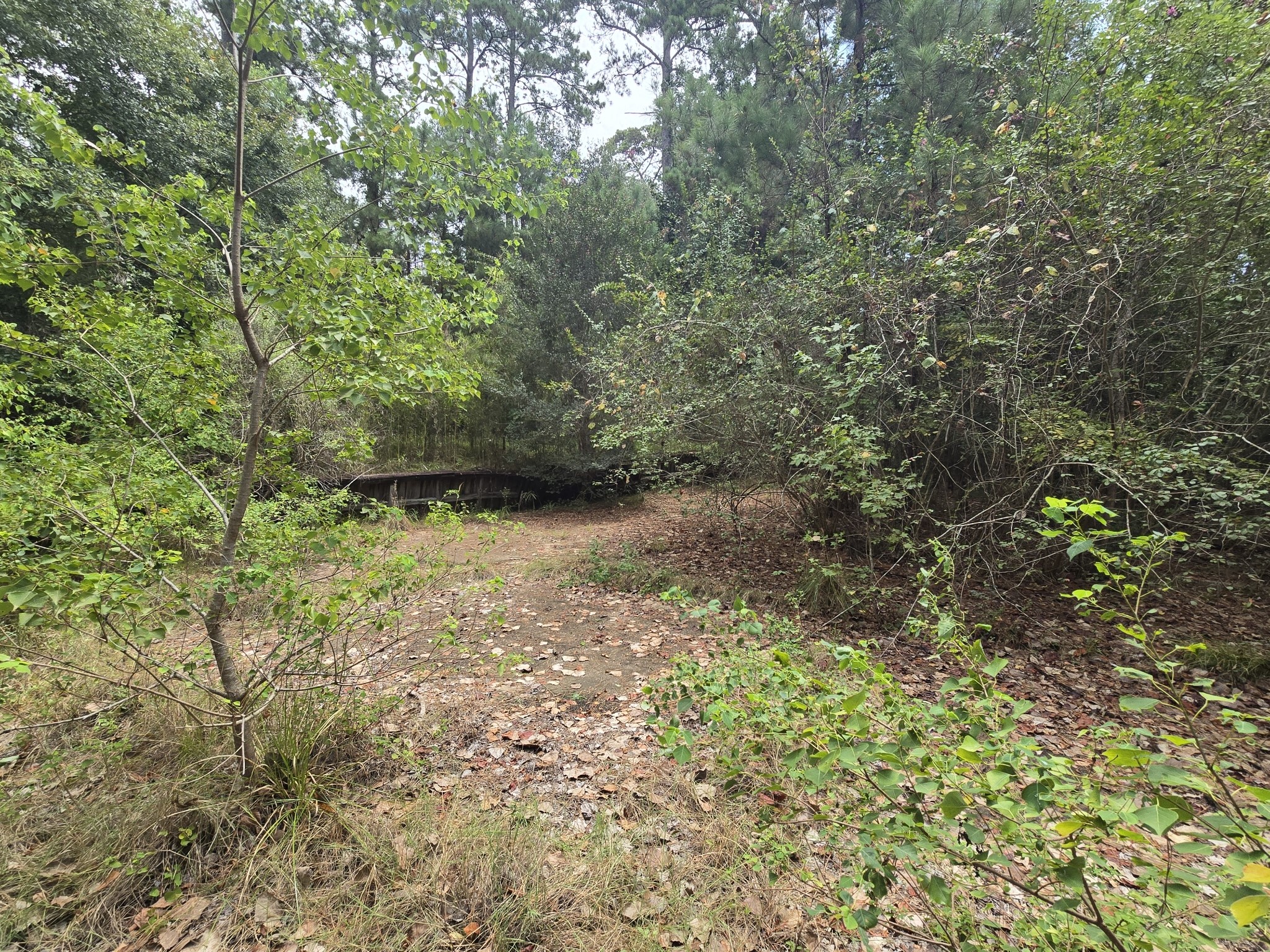142 Idylwood Drive Property Photo 12