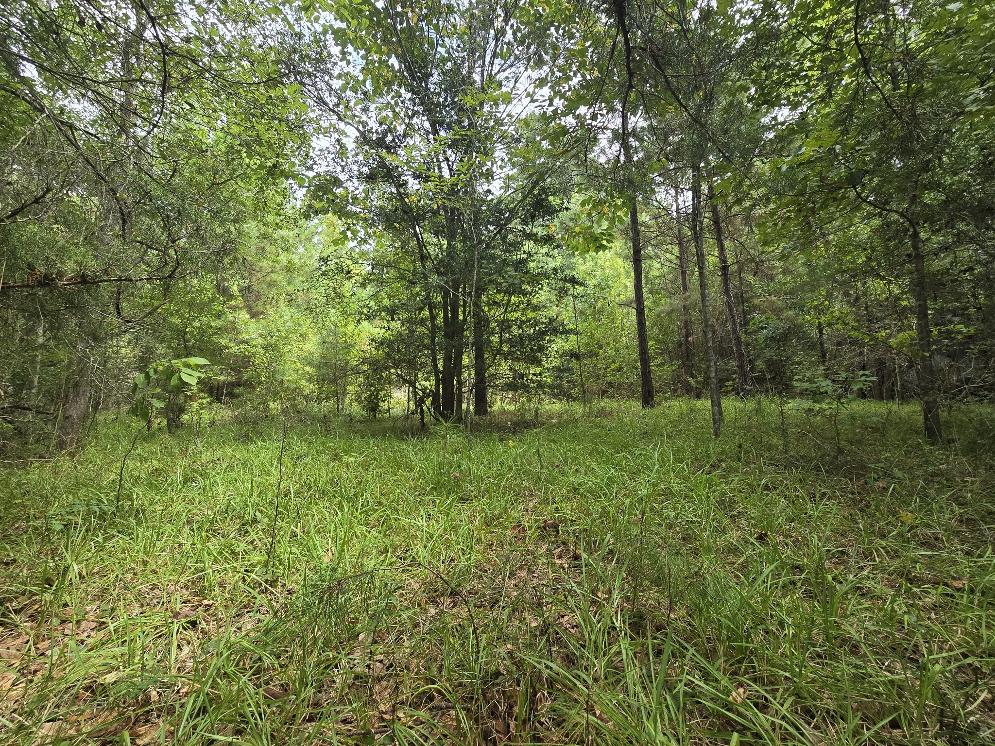 142 Idylwood Drive Property Photo 13