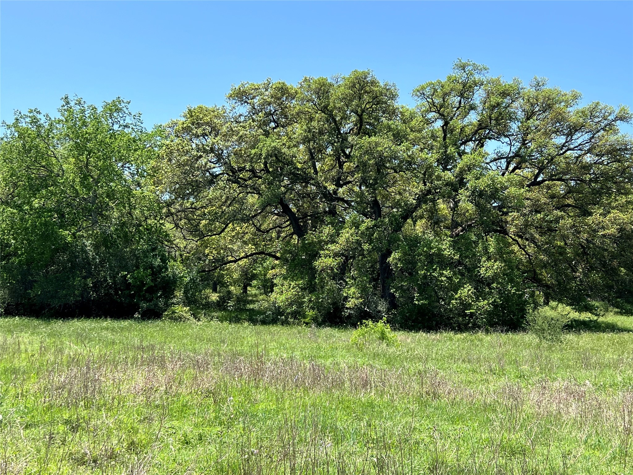 3648 Fm 1579 Property Photo