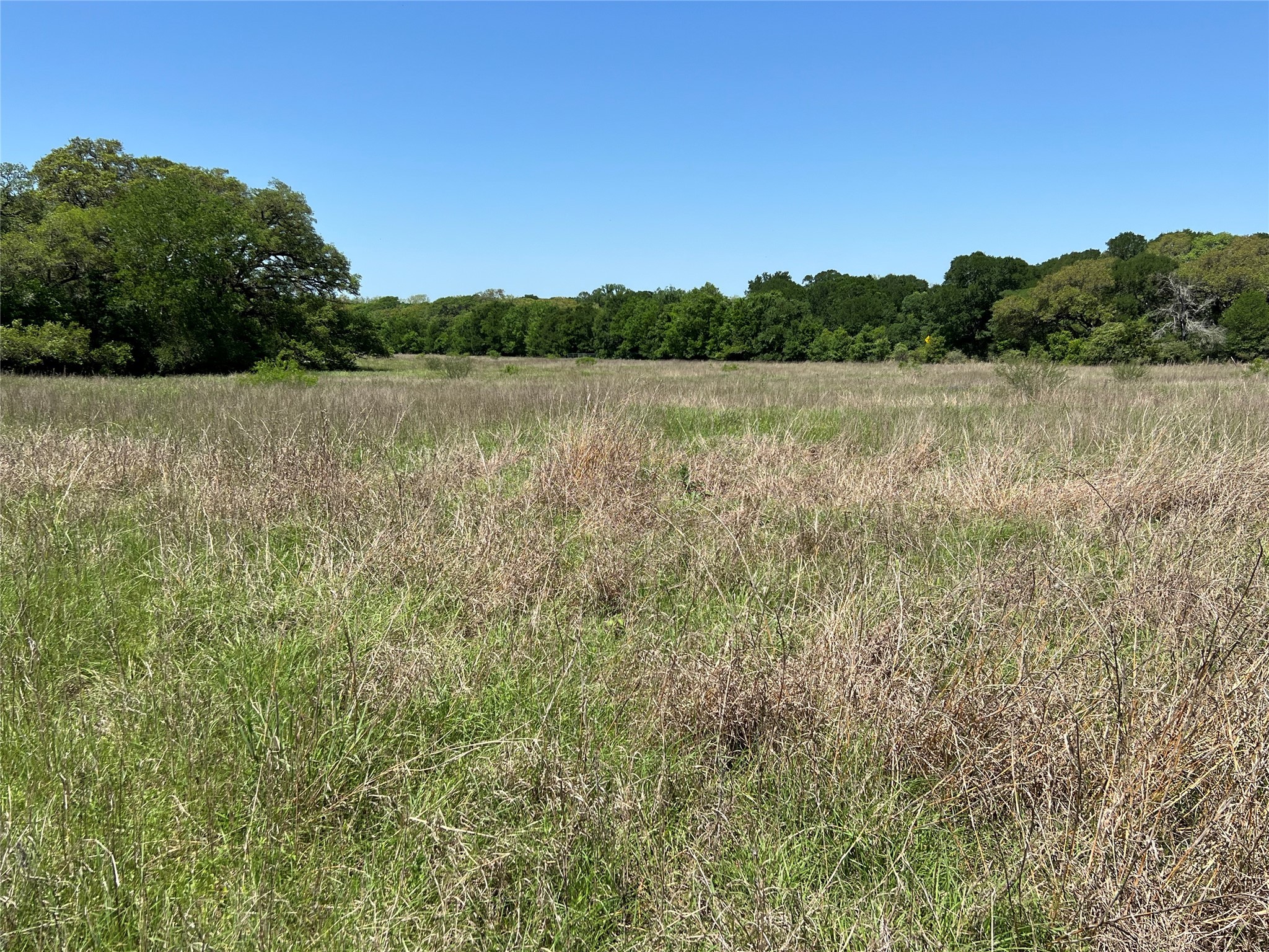 00 Fm 1579 And Langdon Rd Property Photo 2