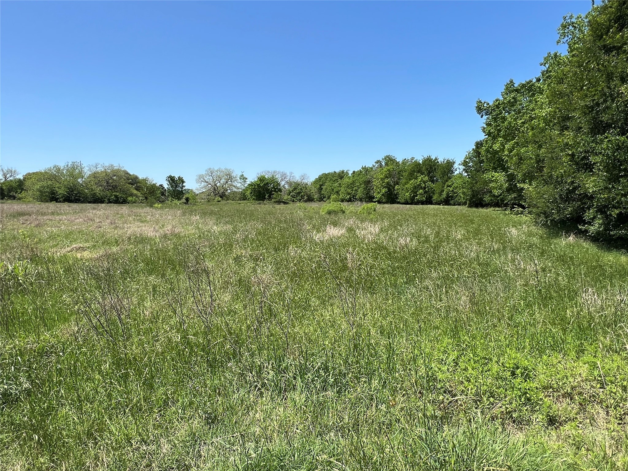 00 Fm 1579 And Langdon Rd Property Photo 3