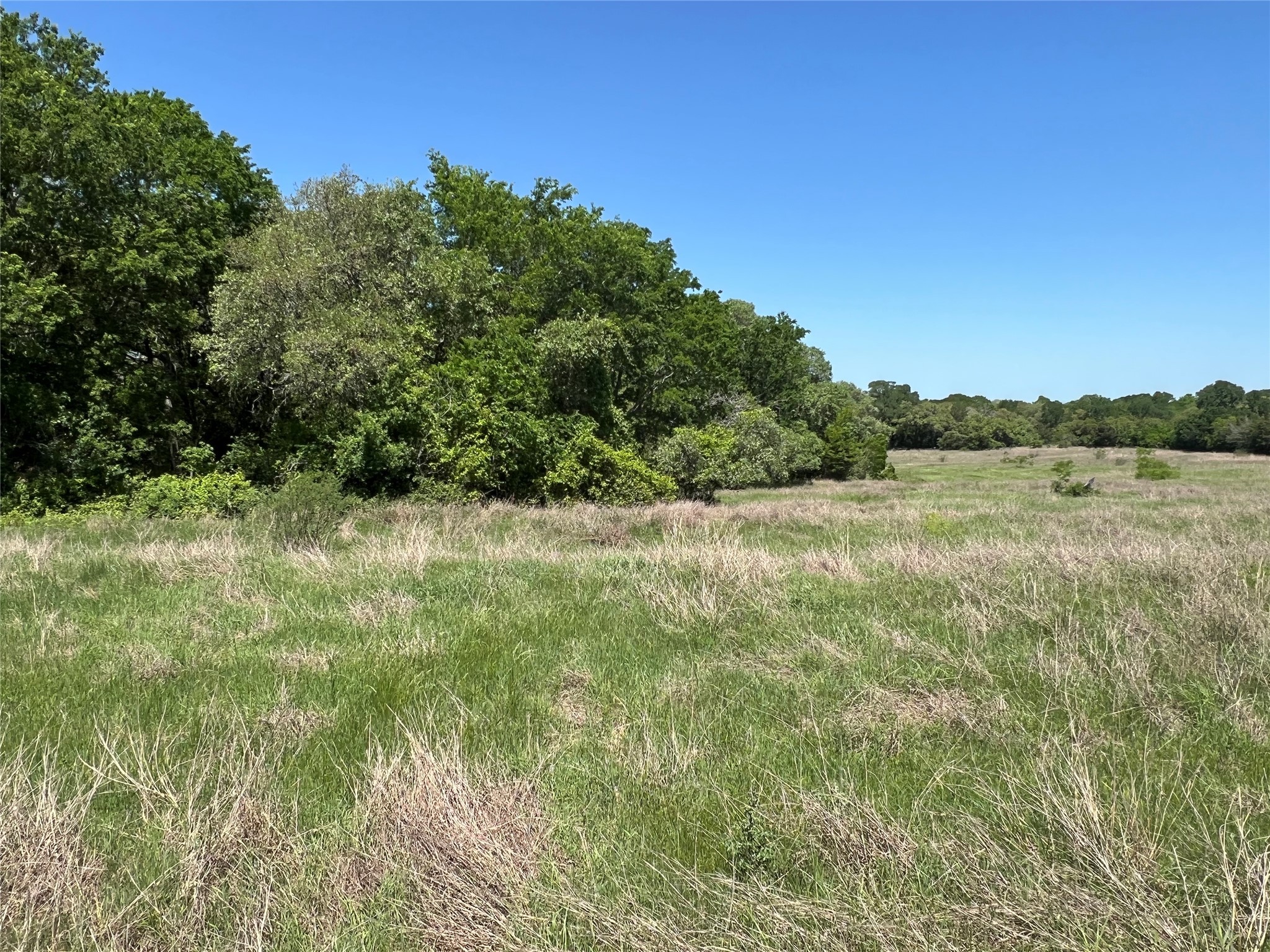 00 Fm 1579 And Langdon Rd Property Photo 4