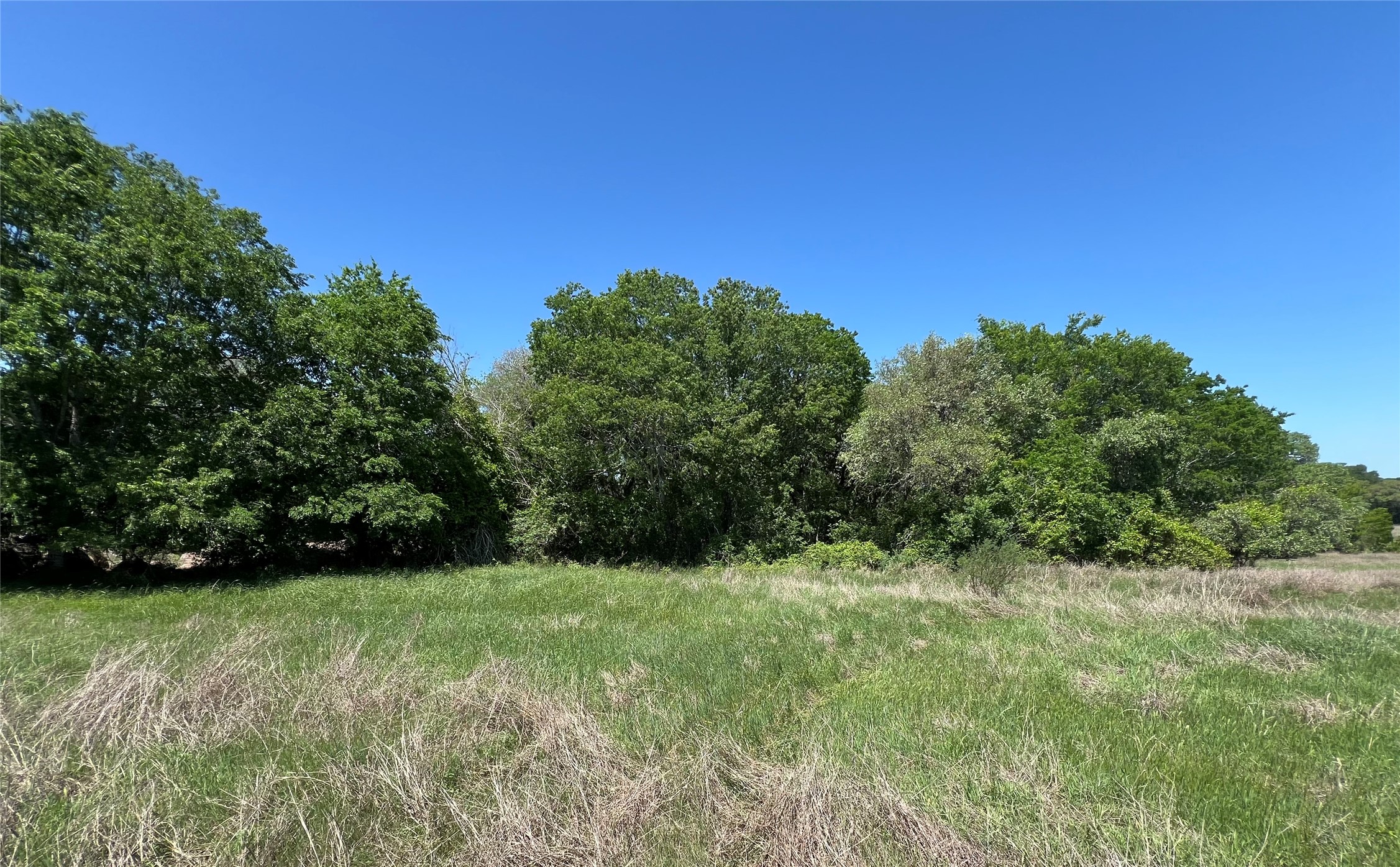 00 Fm 1579 And Langdon Rd Property Photo 5