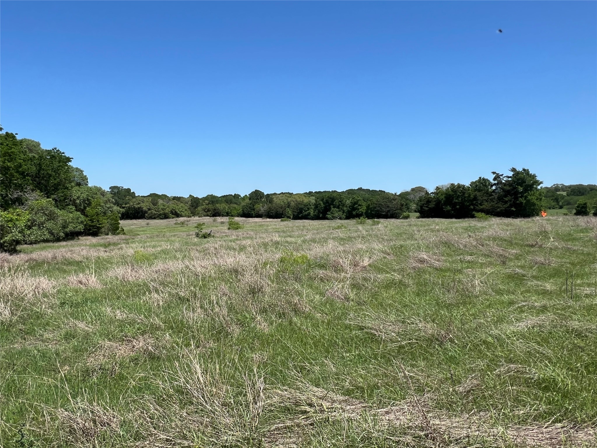 00 Fm 1579 And Langdon Rd Property Photo 6