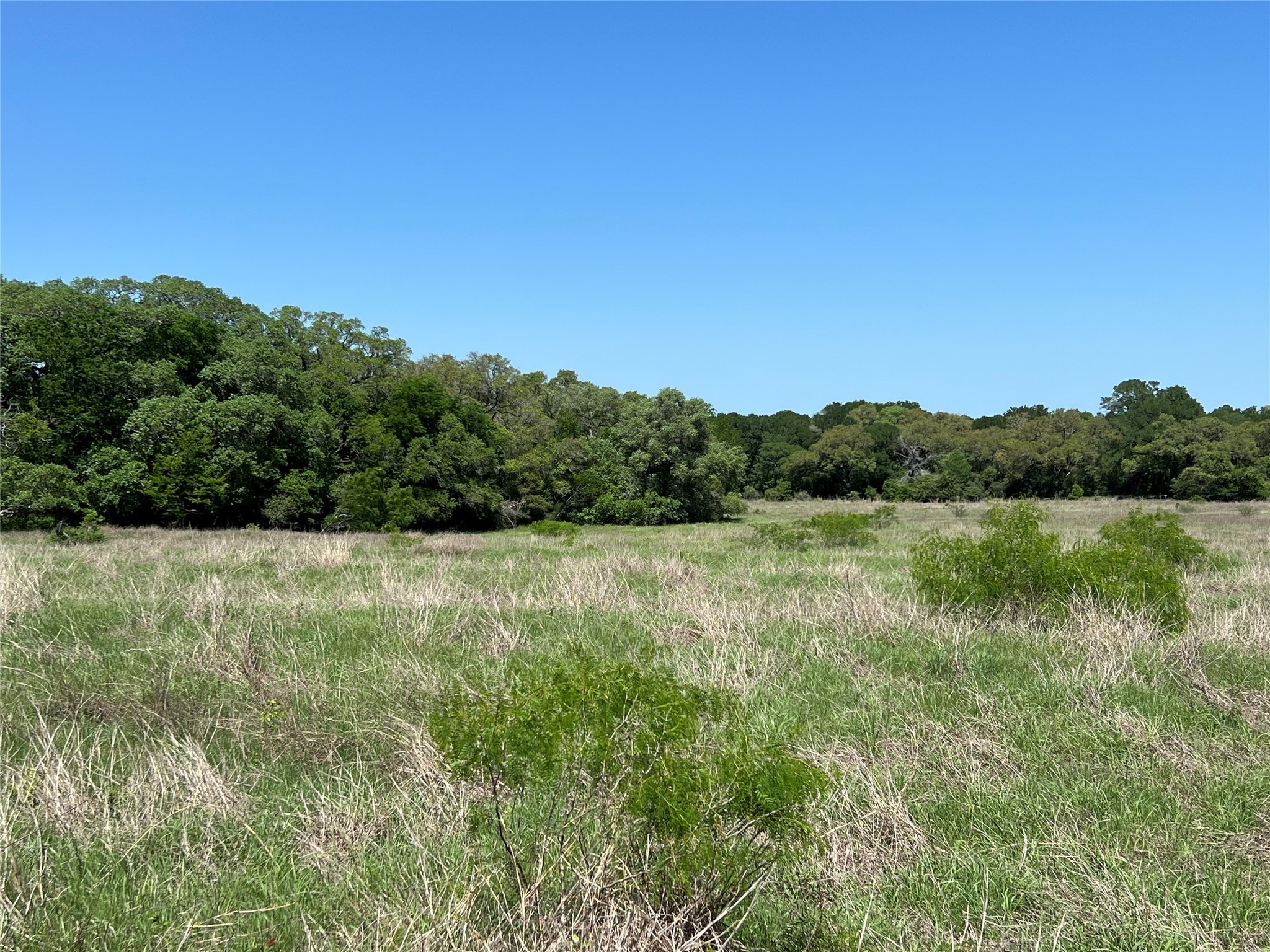 00 Fm 1579 And Langdon Rd Property Photo 7