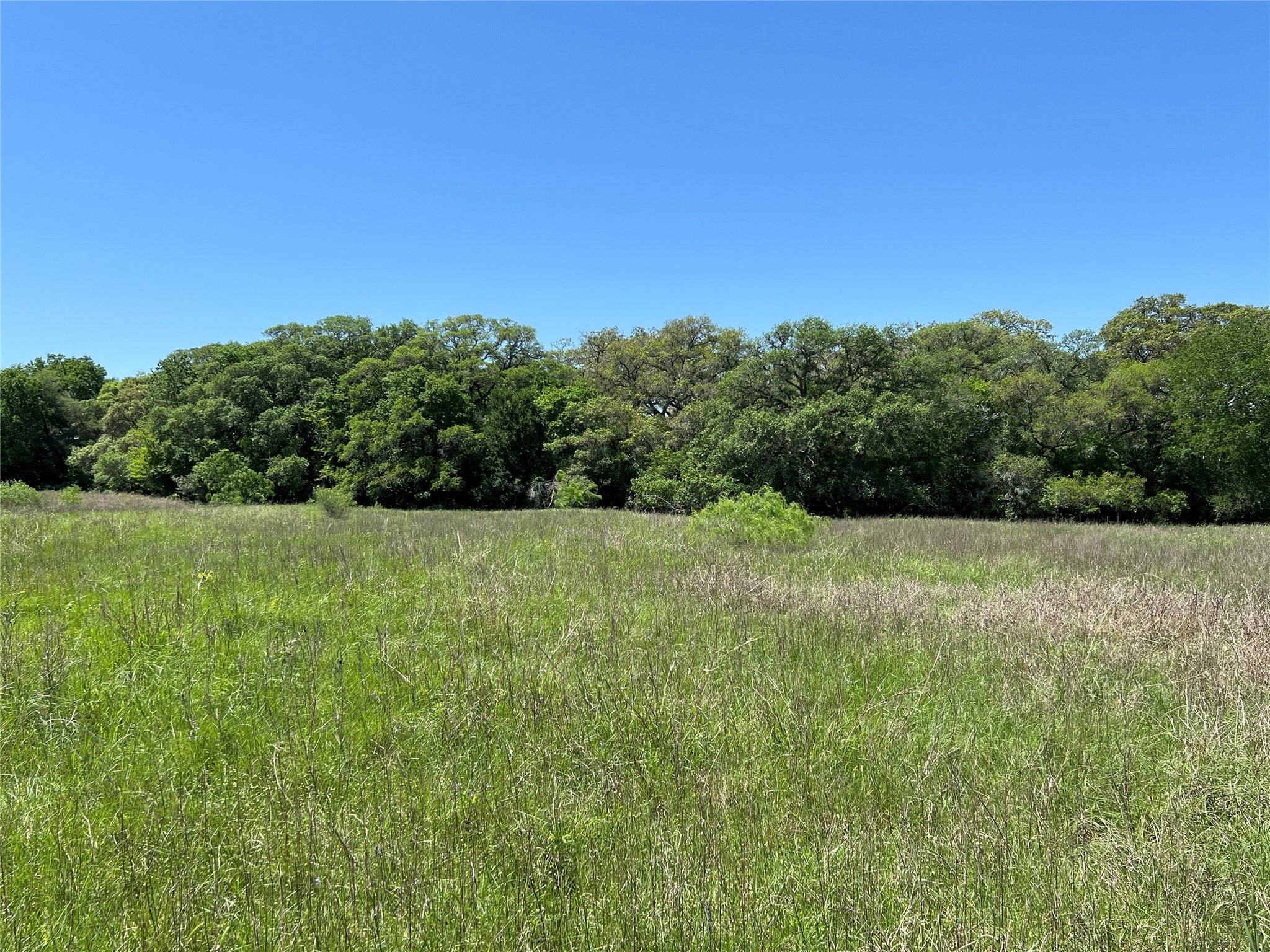 00 Fm 1579 And Langdon Rd Property Photo 8
