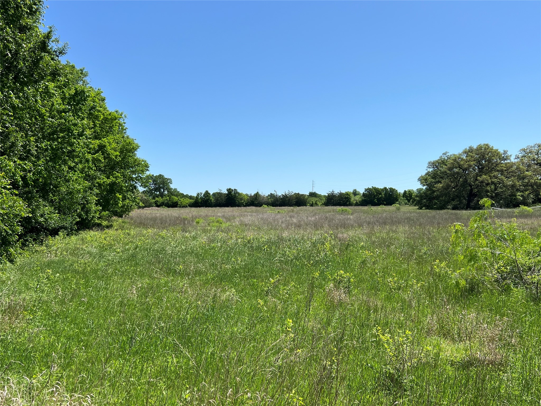 00 Fm 1579 And Langdon Rd Property Photo 9
