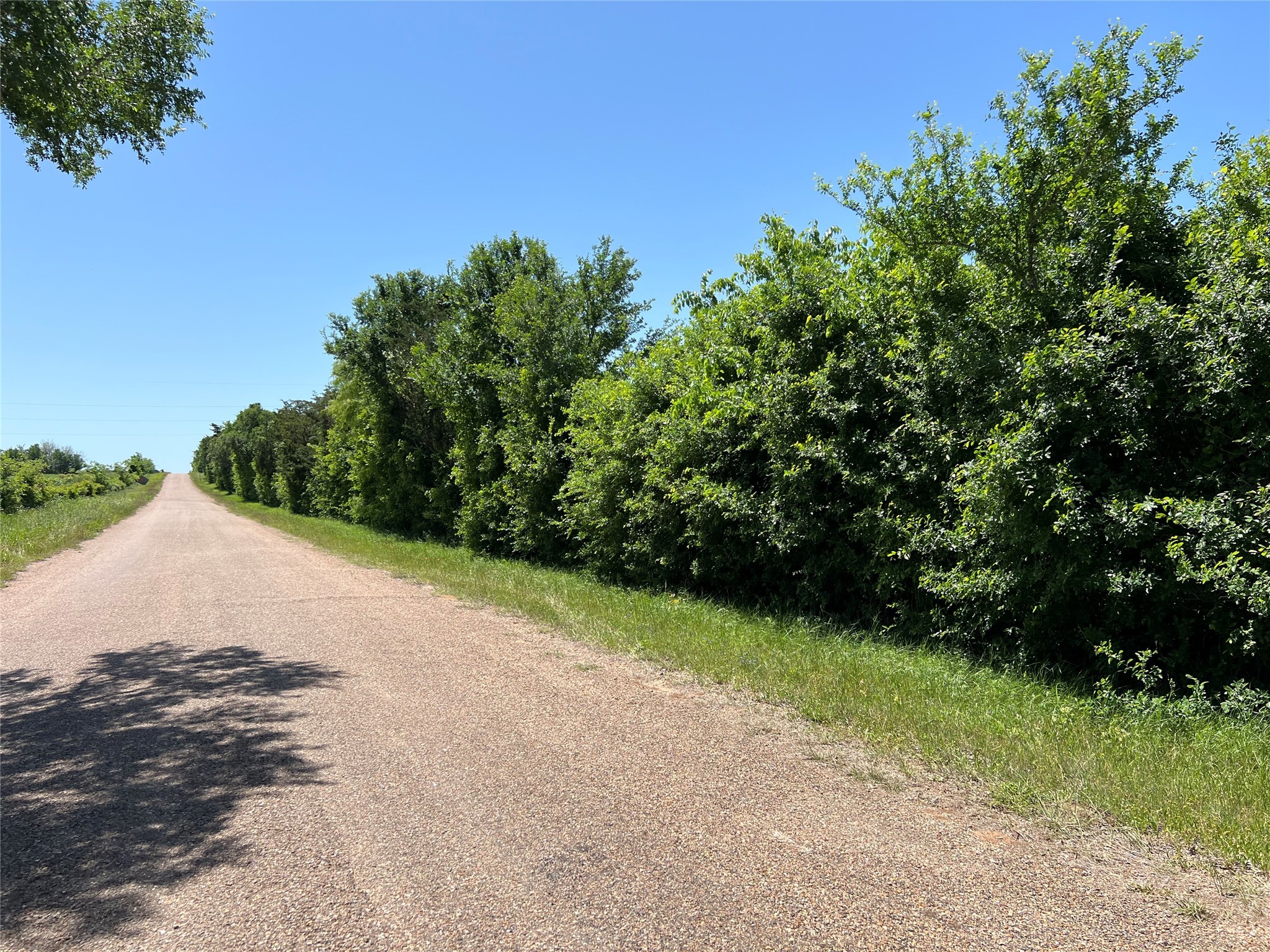 00 Fm 1579 And Langdon Rd Property Photo 10