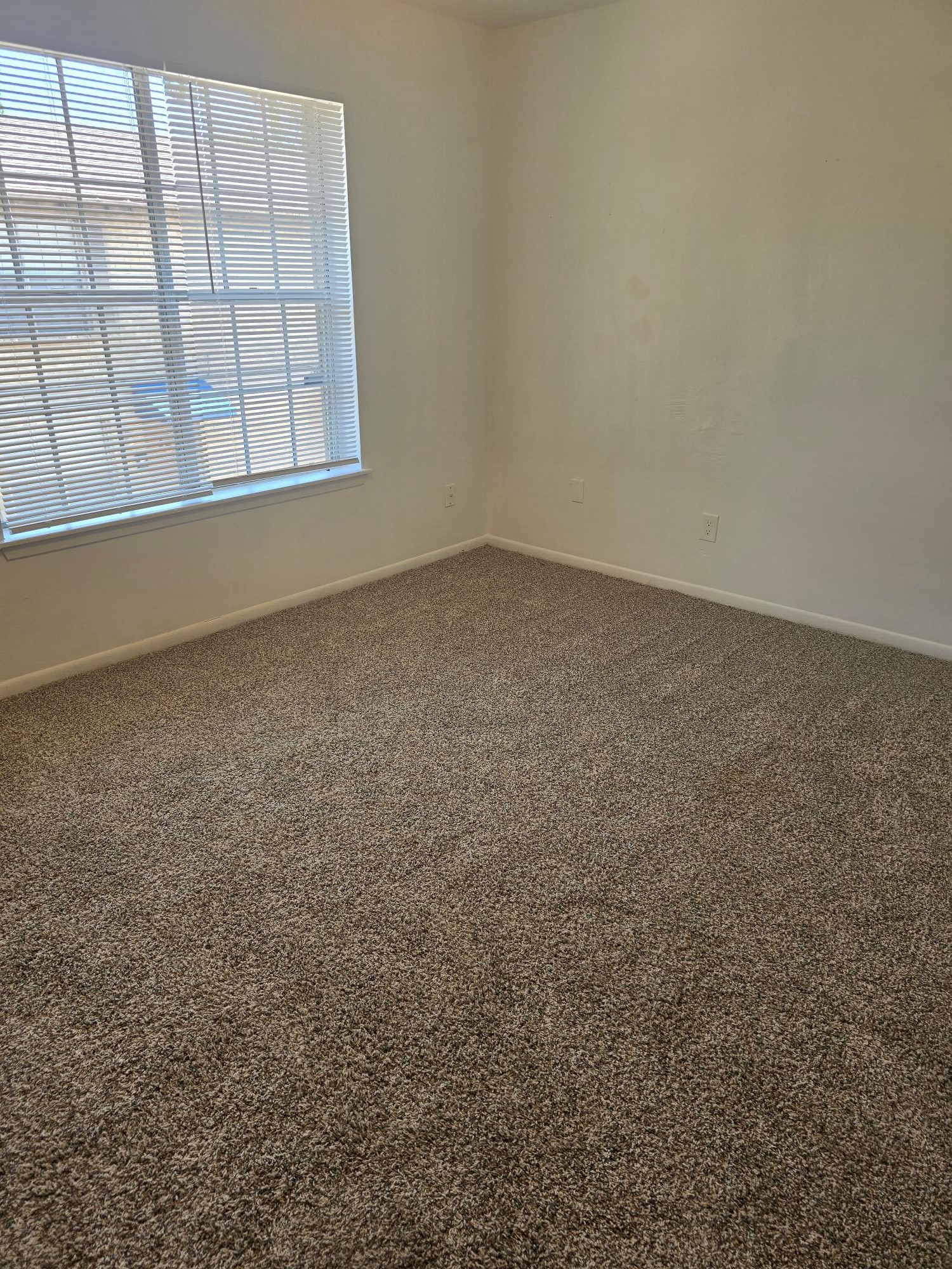 600 Hilliard Street 7 Property Photo 14