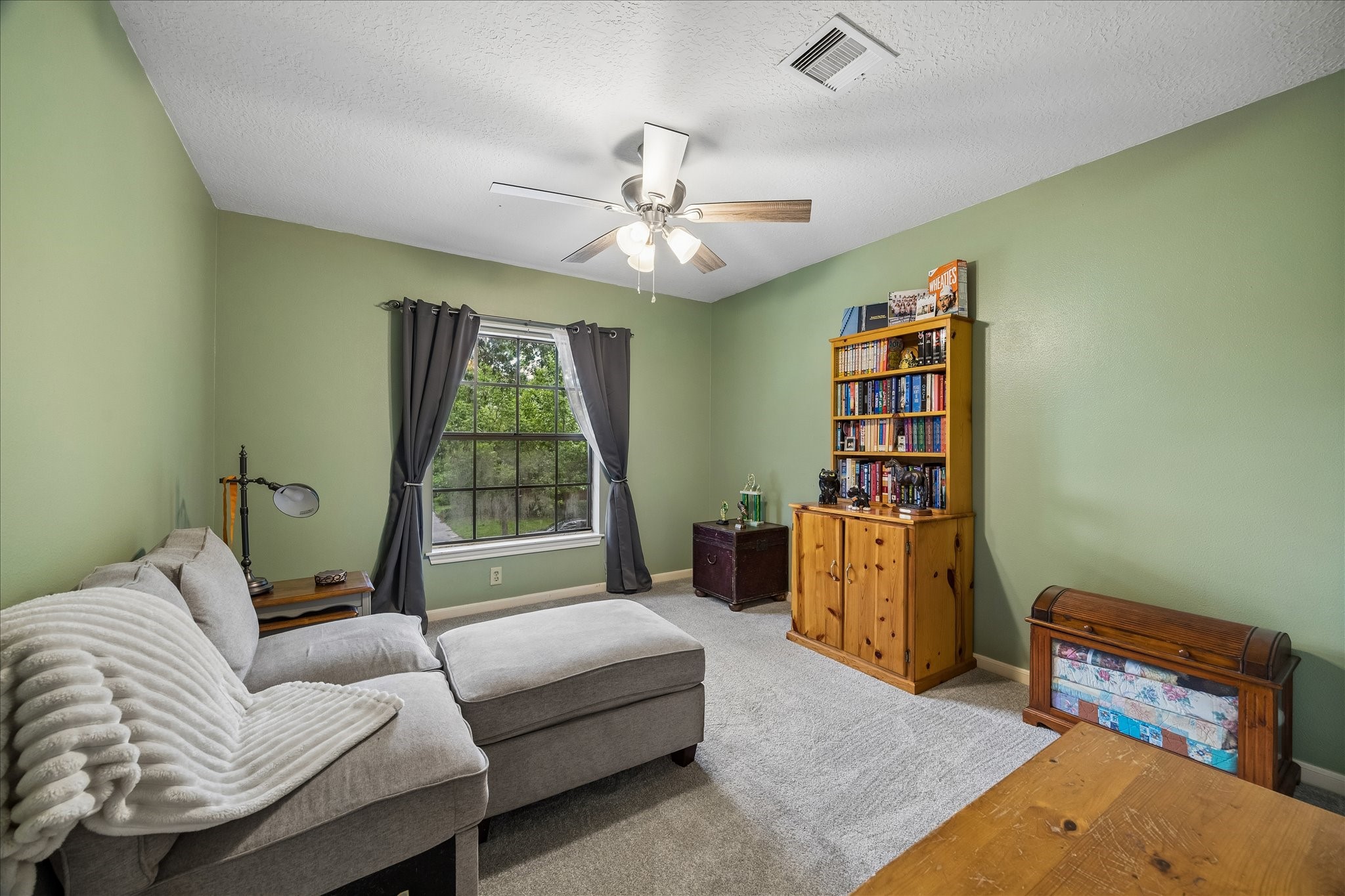 3914 Hill Springs Drive Property Photo 28