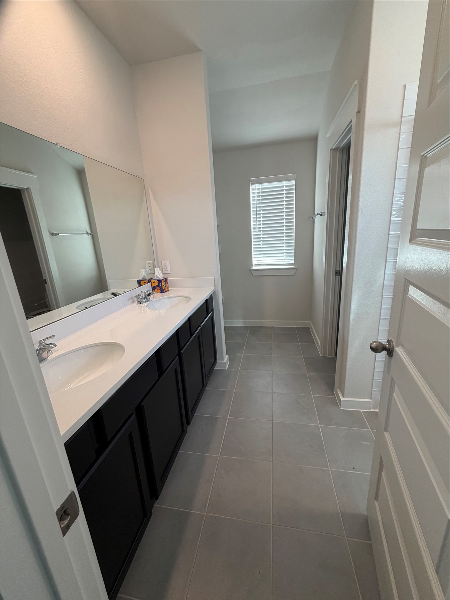 2971 Colonia Blossom Lane Property Photo 28