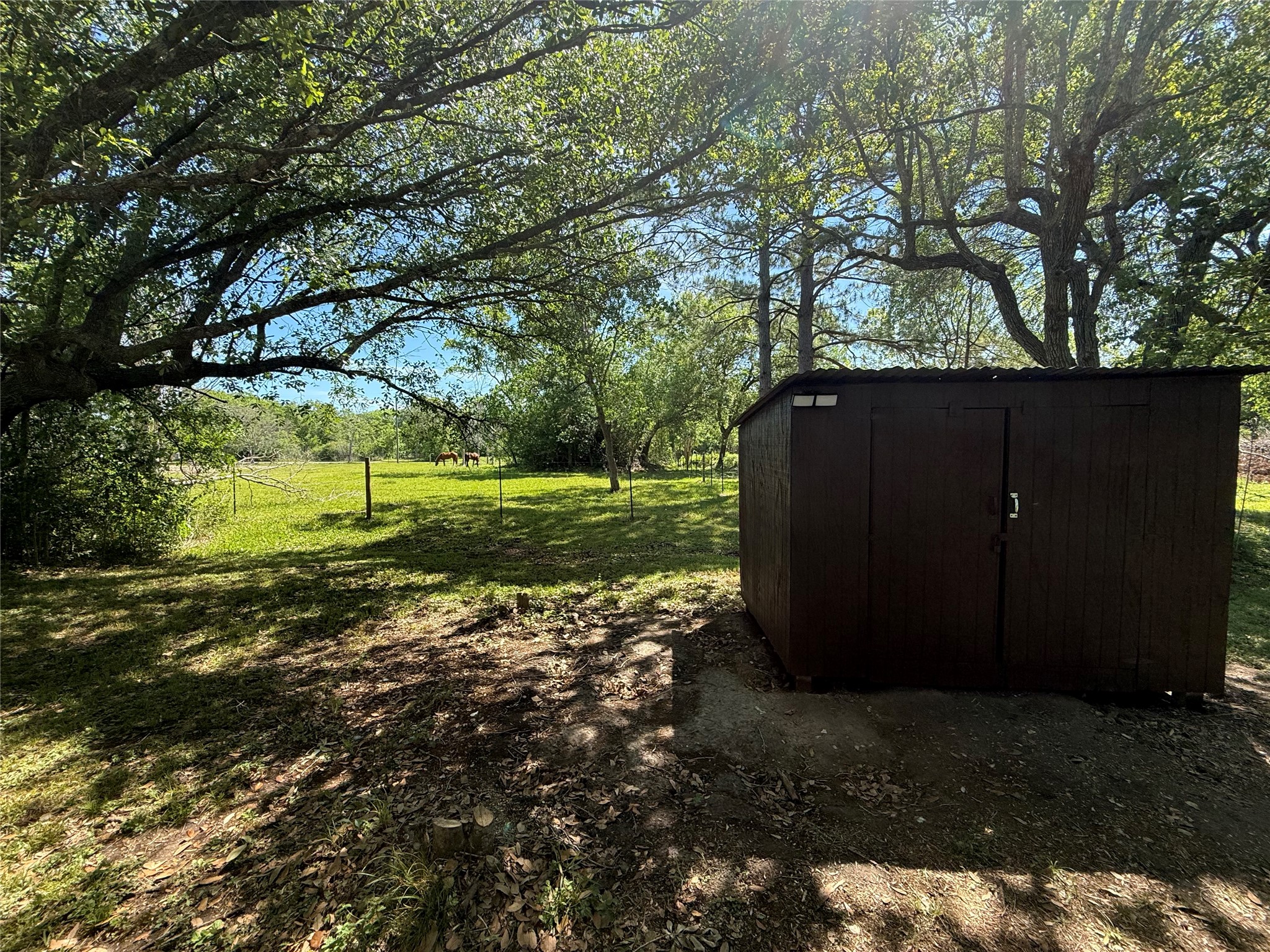 155 County Road 133 Property Photo 16