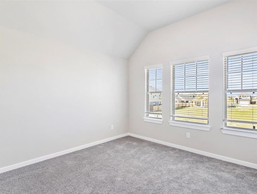 23023 Penstemon Trail Property Photo 5