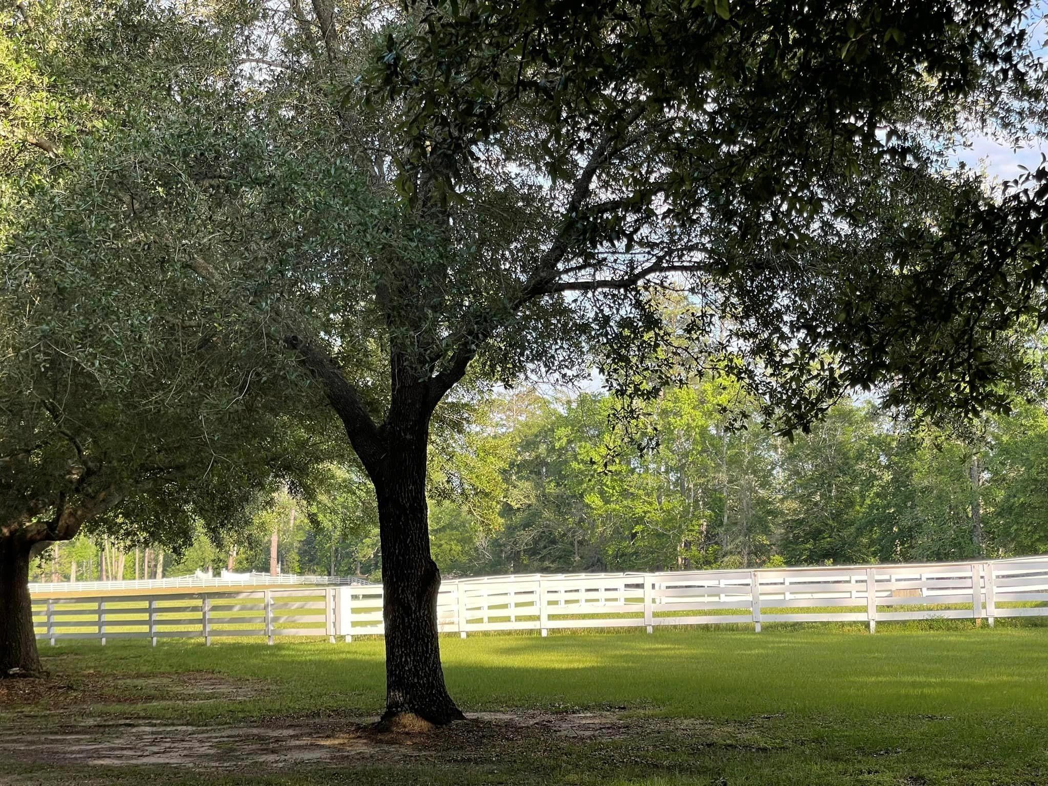 Lot 88 Lakeland Loop Property Photo 12