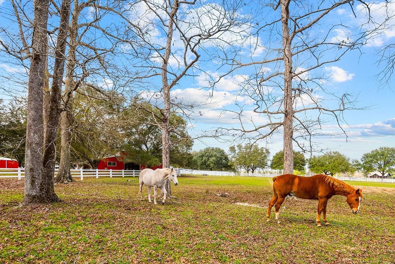 Lot 88 Lakeland Loop Property Photo 13