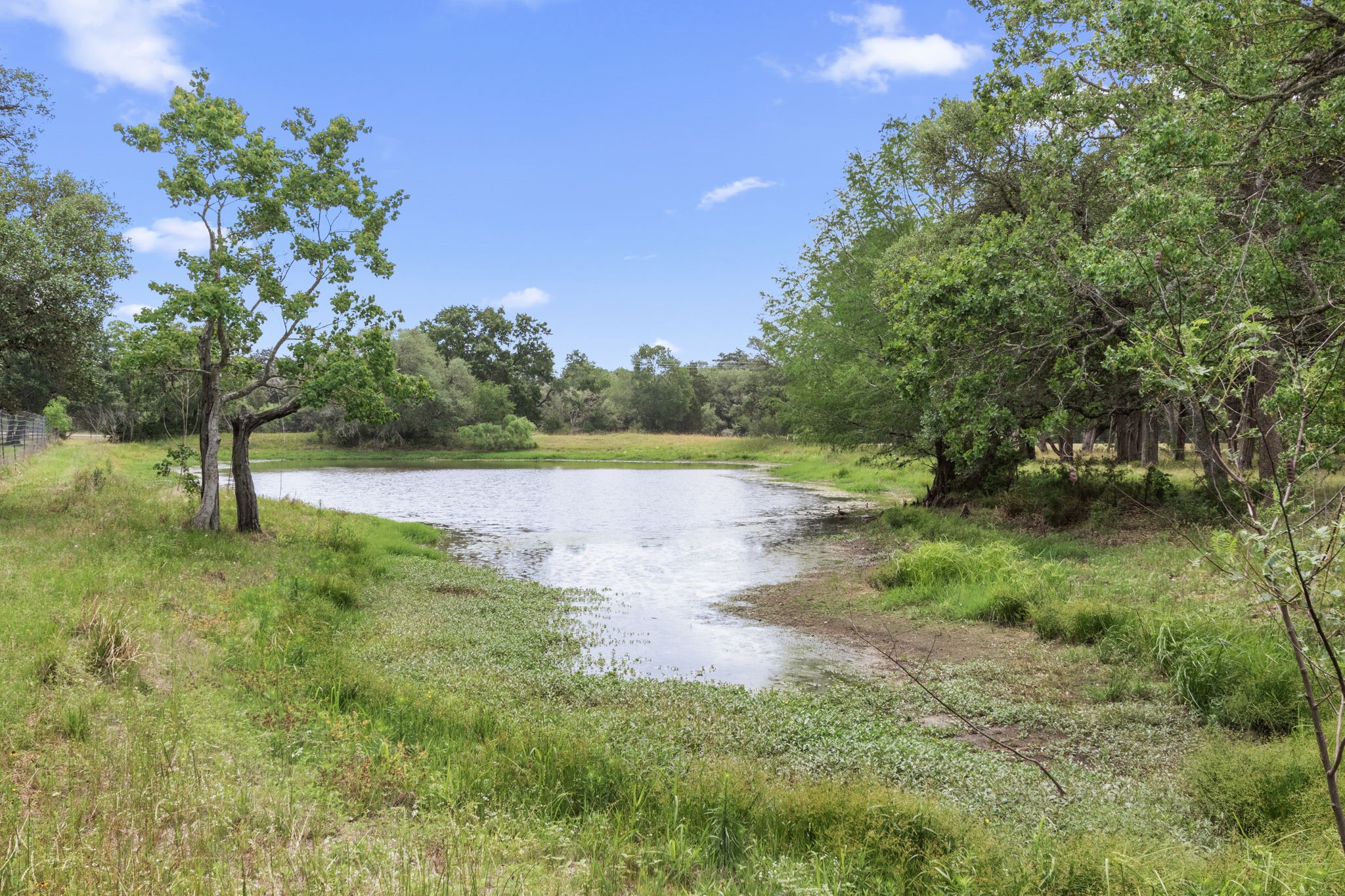 2751 Fm 2434 Property Photo 1
