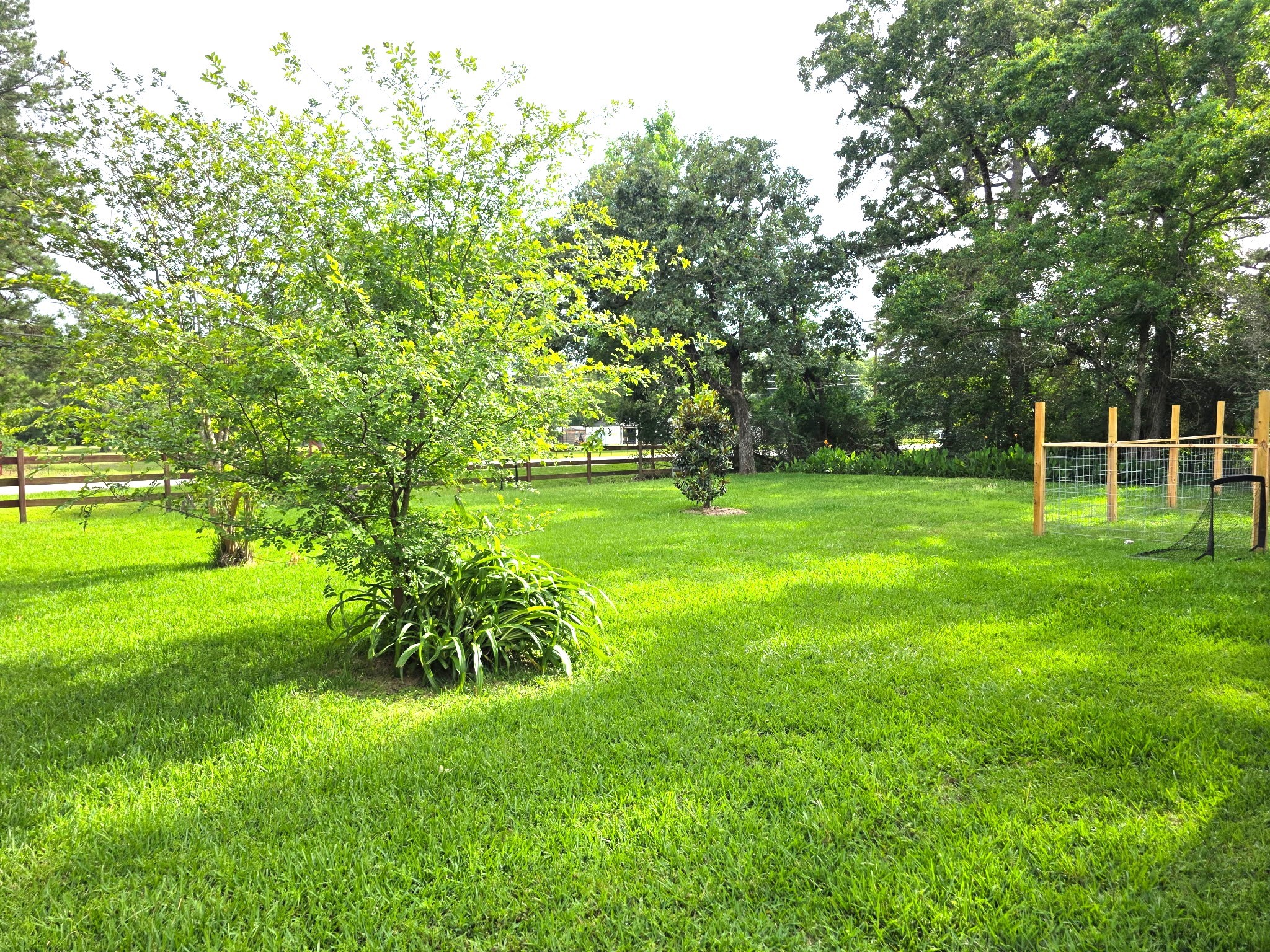 10802 Jolin Lane Property Photo 25