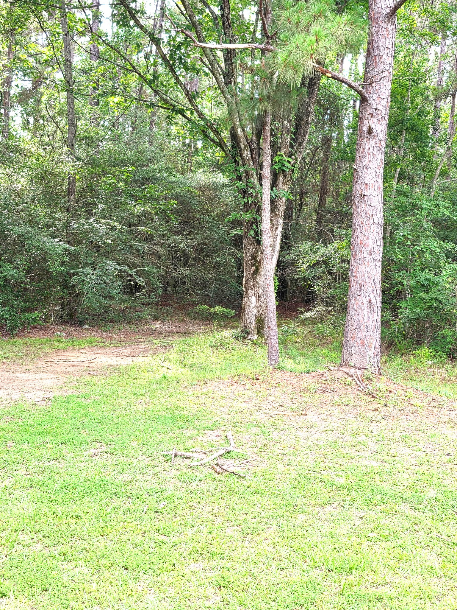 10802 Jolin Lane Property Photo 29